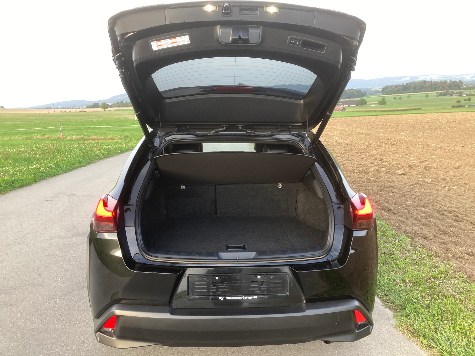 LEXUS UX 250h Excellence AWD Automatic-image-5