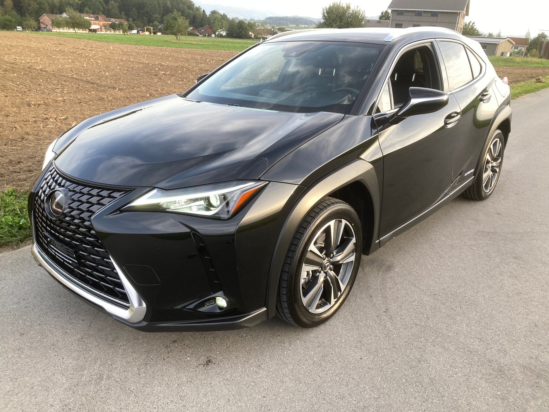 LEXUS UX 250h Excellence AWD Automatic-image-0