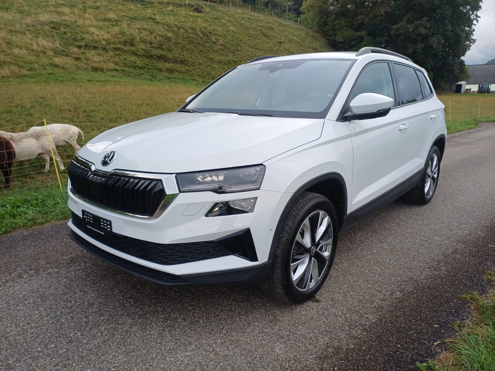 SKODA Karoq 2.0 TDI CR Style 4x4 DSG-image-0
