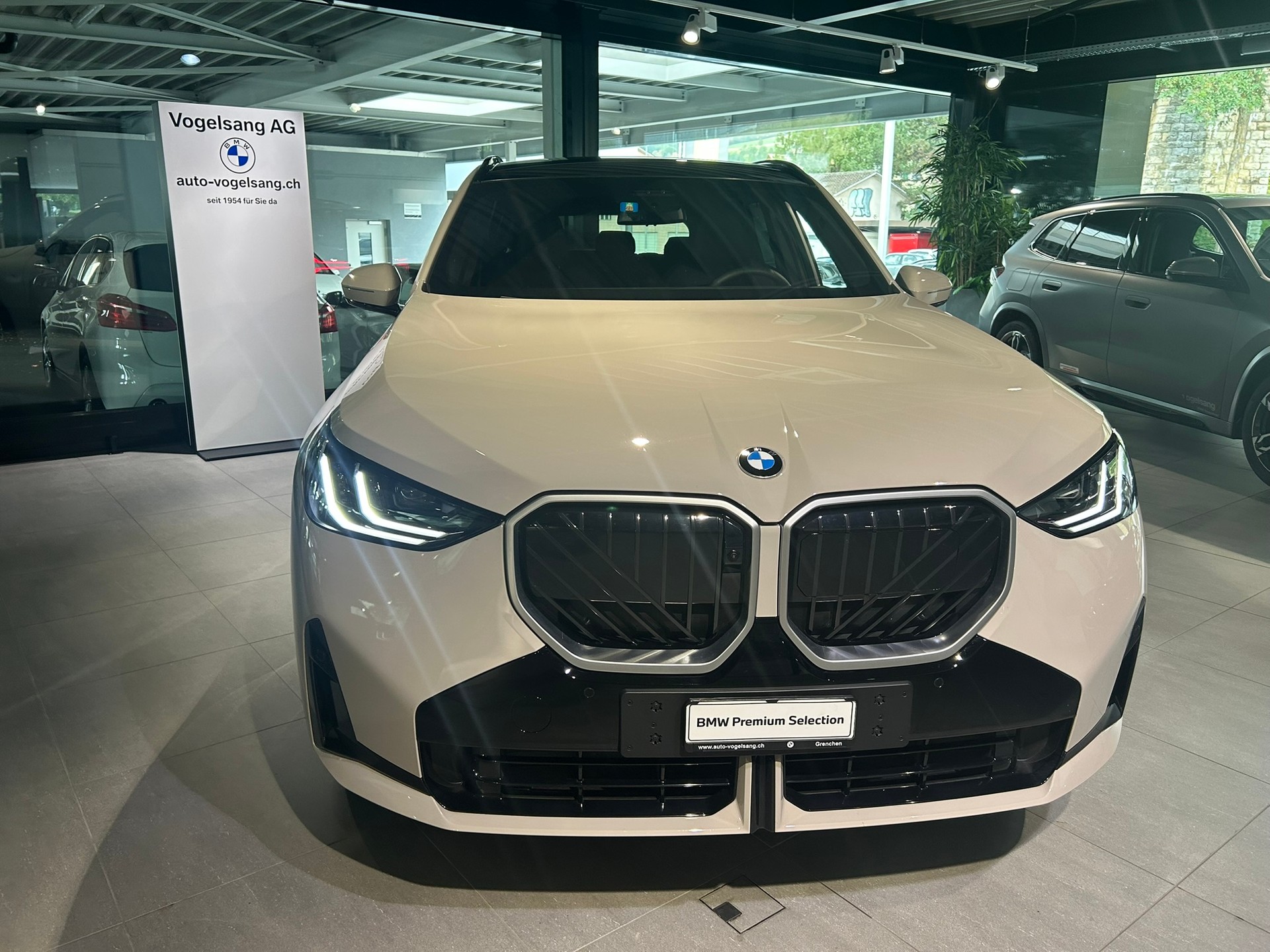 BMW X3 xDrive 30e M Sport-image-2