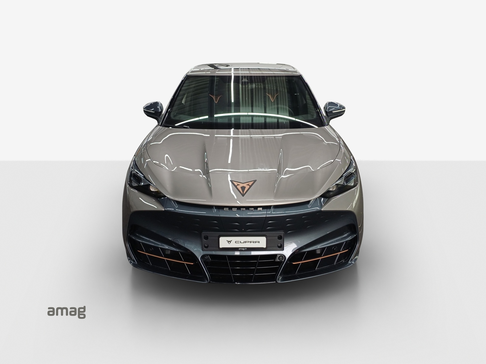 CUPRA Tavascan Type 9 77 kWh Adrenaline-image-13