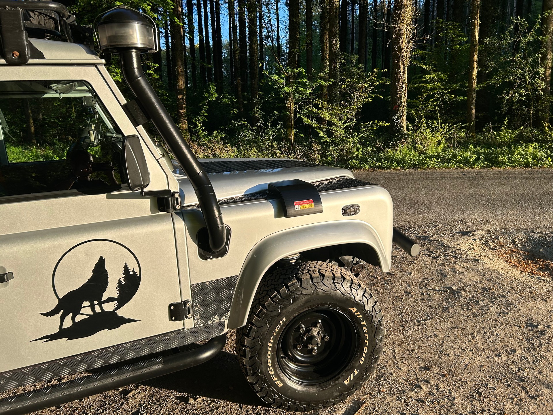 LAND ROVER 110 SW 2.5 Td5-image-7