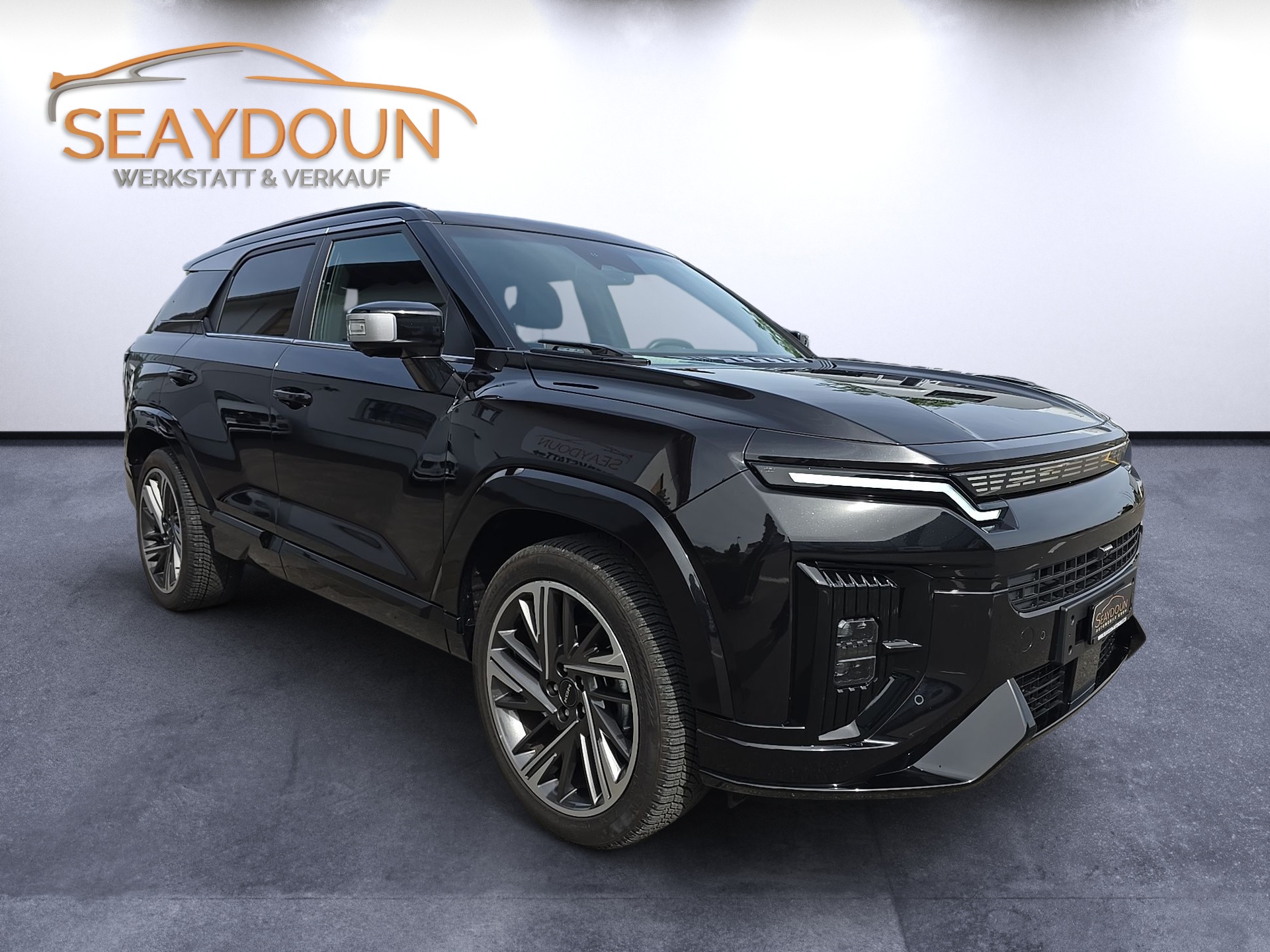 KGM-SsangYong ACTYON-showroom-element-1