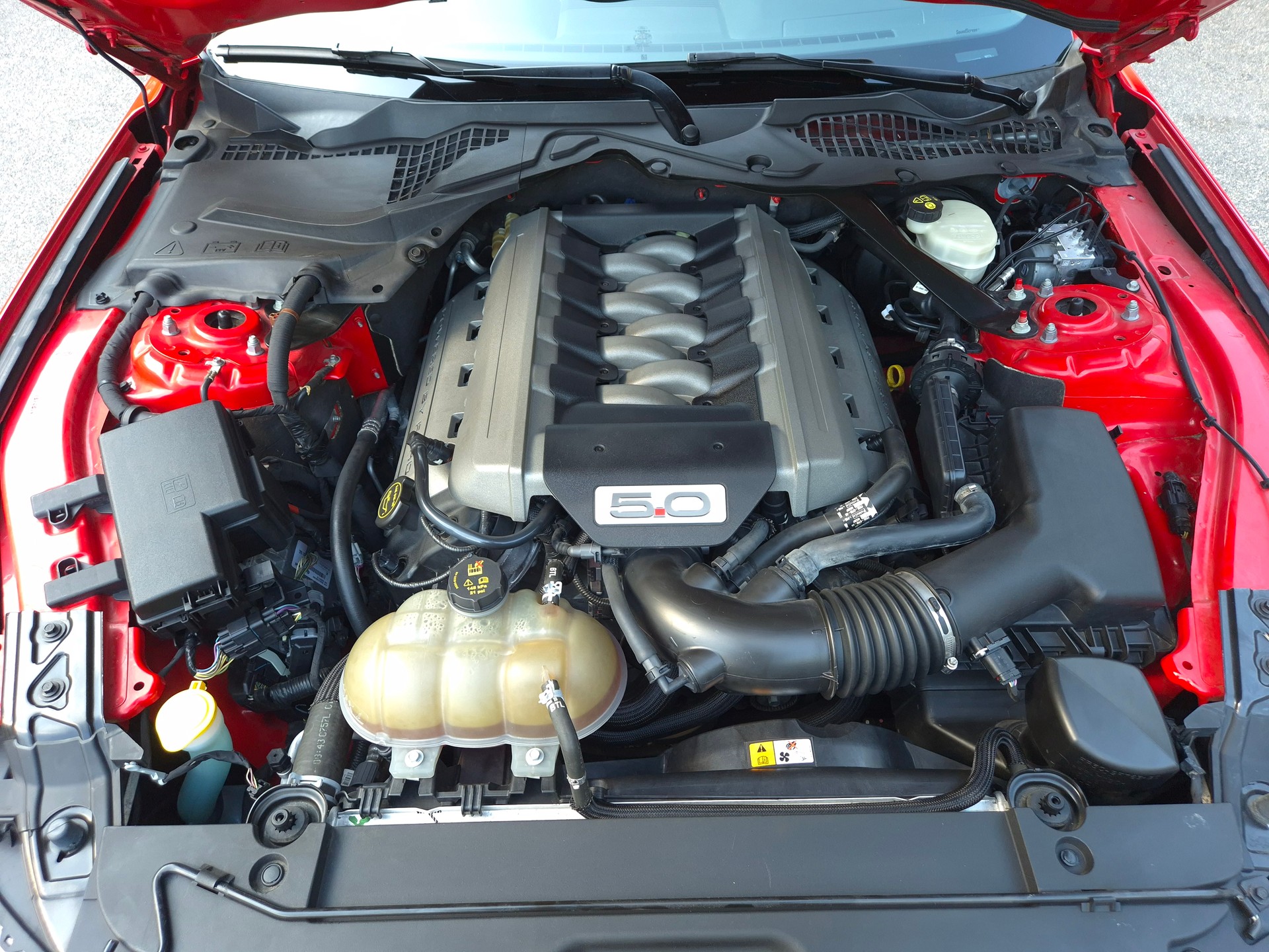 FORD Mustang Fastback 5.0 V8 GT Automat-image-29