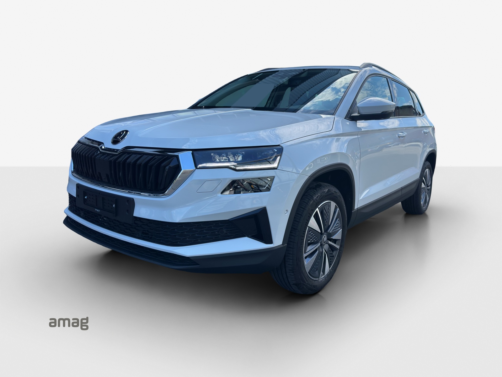 SKODA Karoq 1.5 TSI Dynamic DSG-image-0
