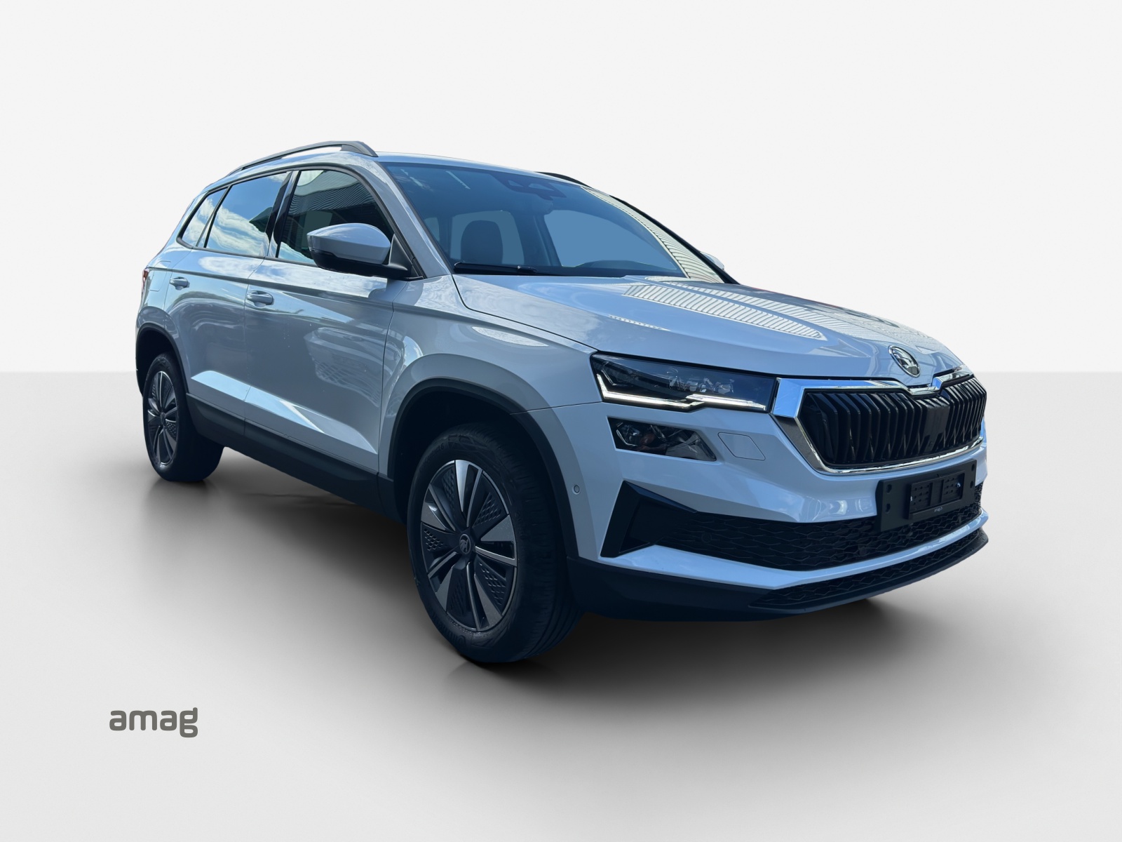 SKODA Karoq 1.5 TSI Dynamic DSG-image-5