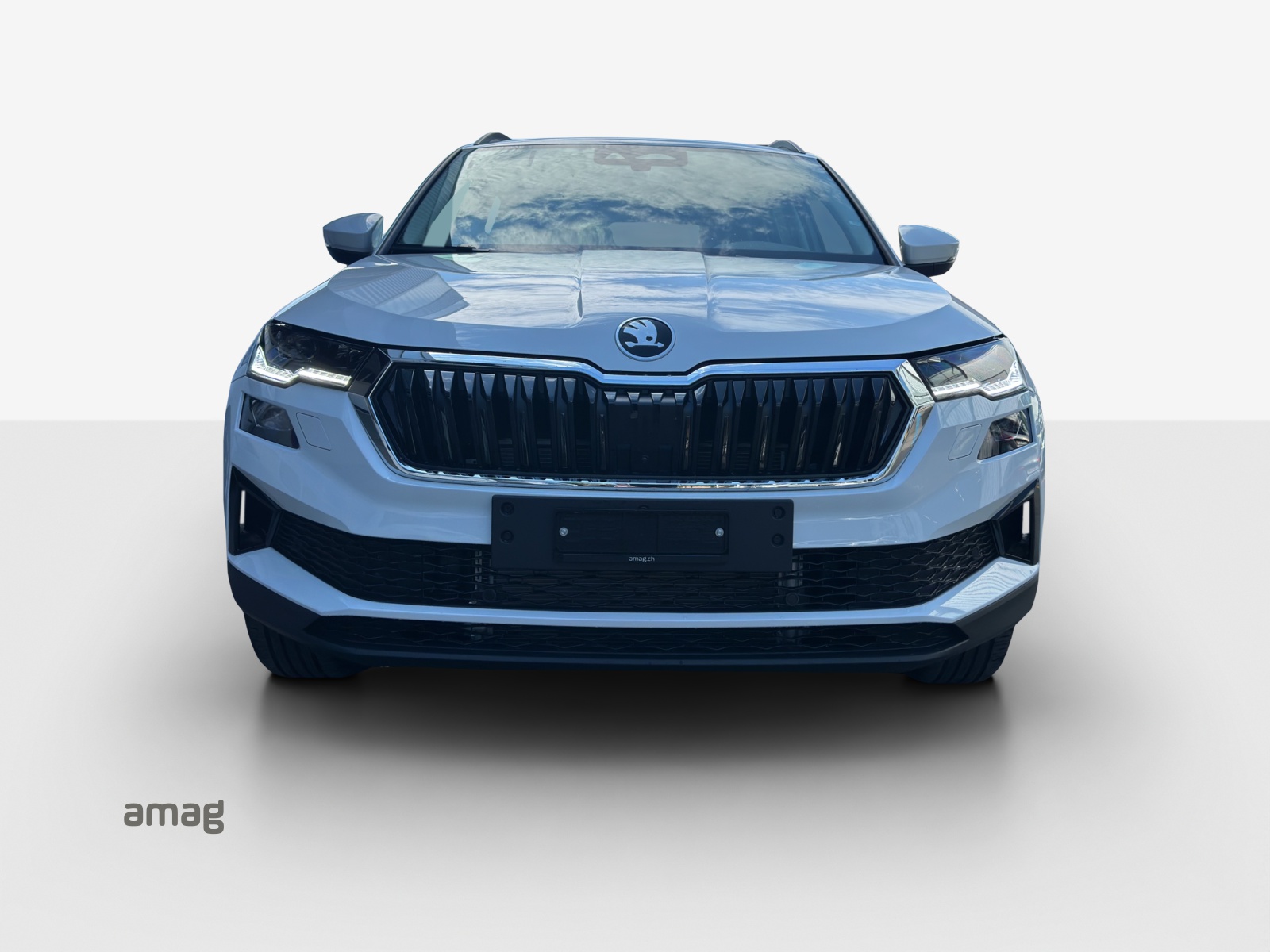SKODA Karoq 1.5 TSI Dynamic DSG-image-6