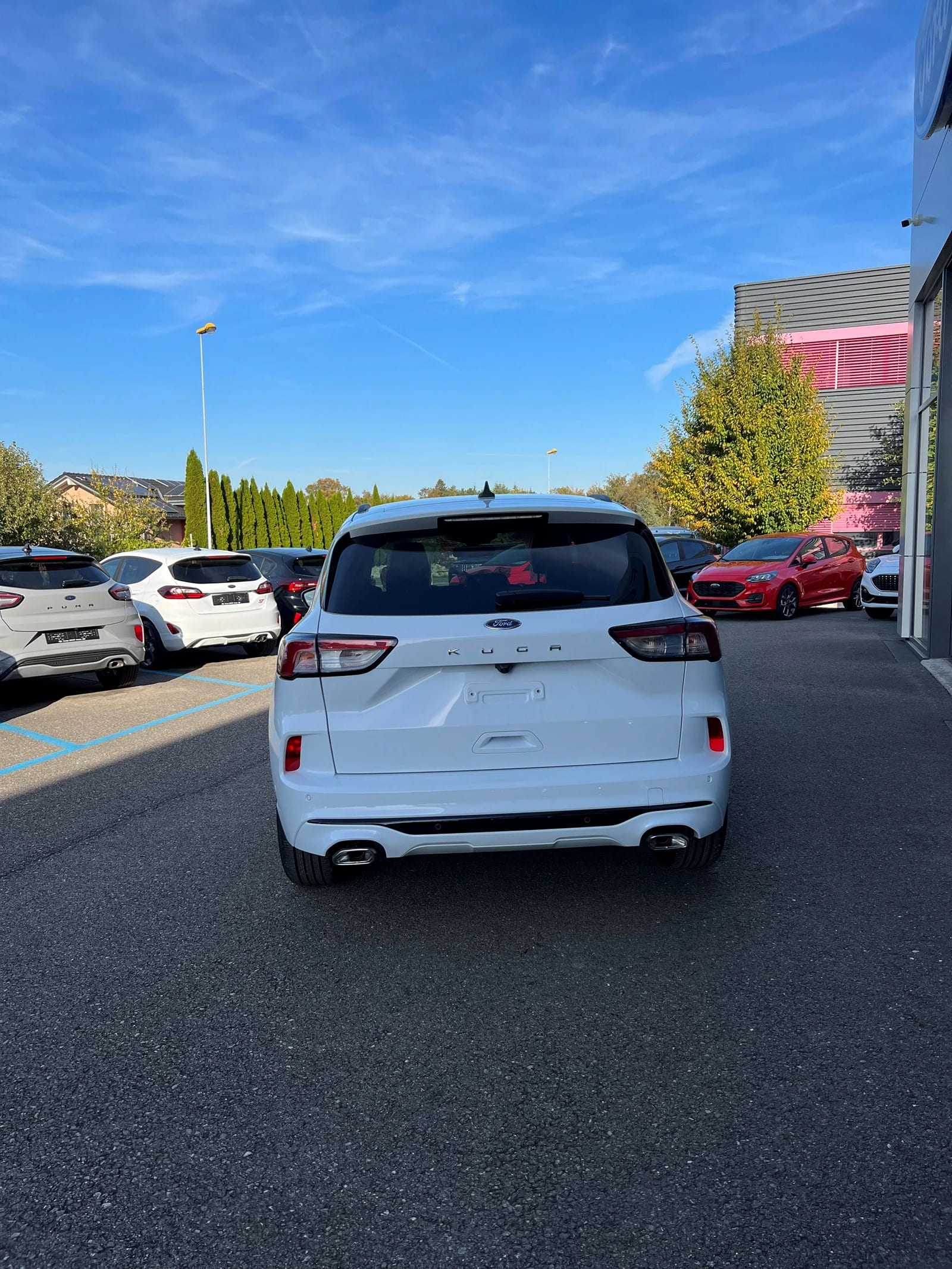 FORD Kuga 2.0 EcoBlue ST-Line TDCi/Aut.-image-7