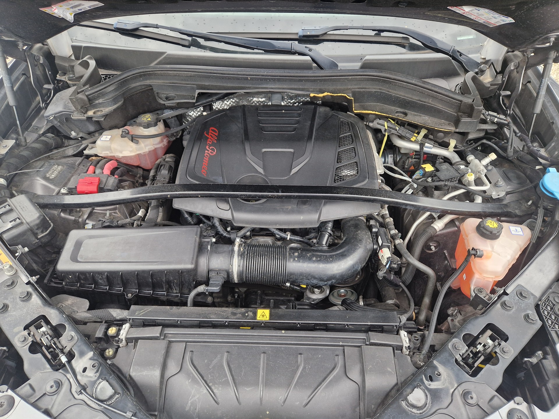 ALFA ROMEO Stelvio 2.0 Executive Q4 280cv-image-12