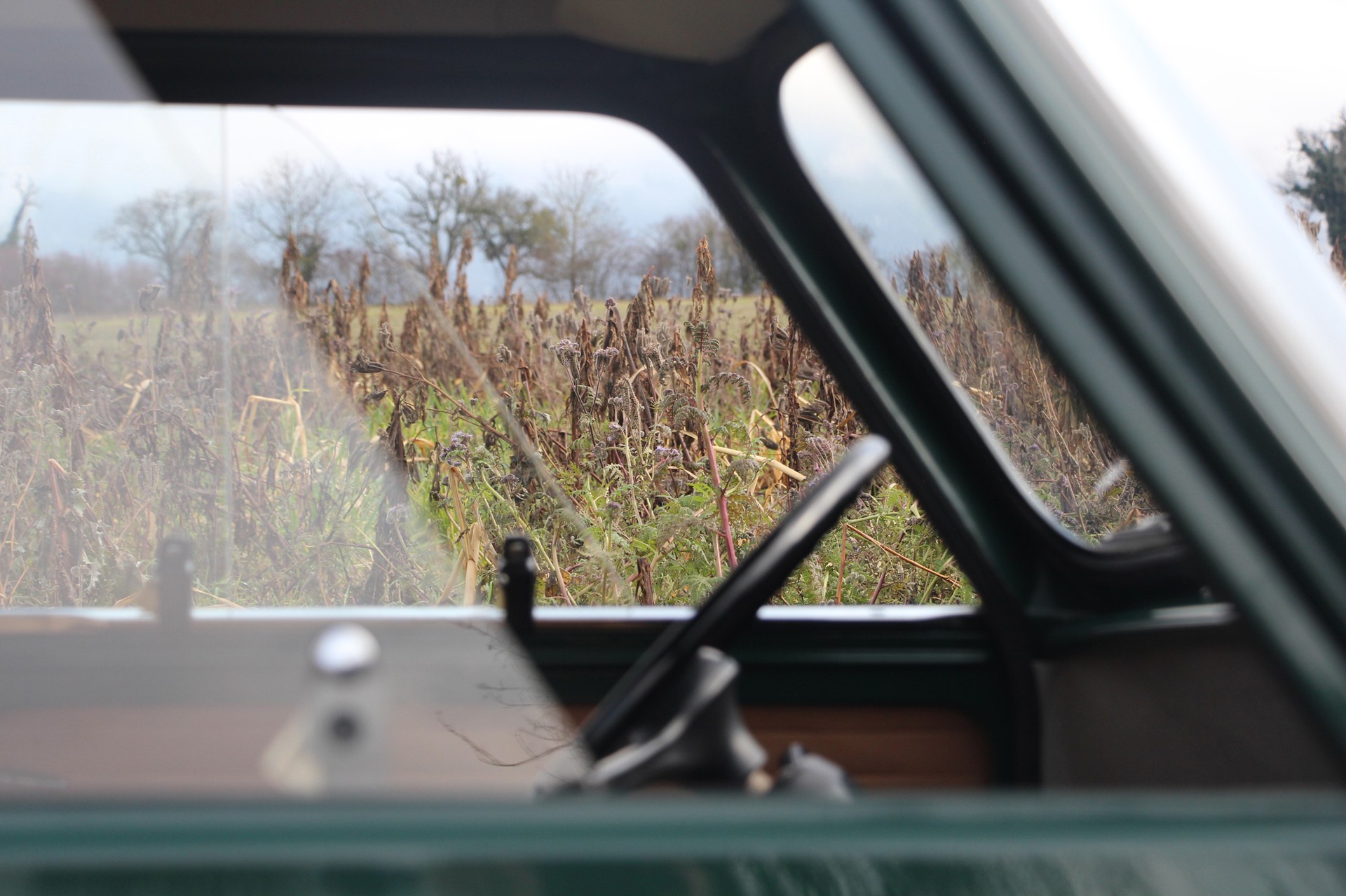 MORRIS Mini 1000-image-25