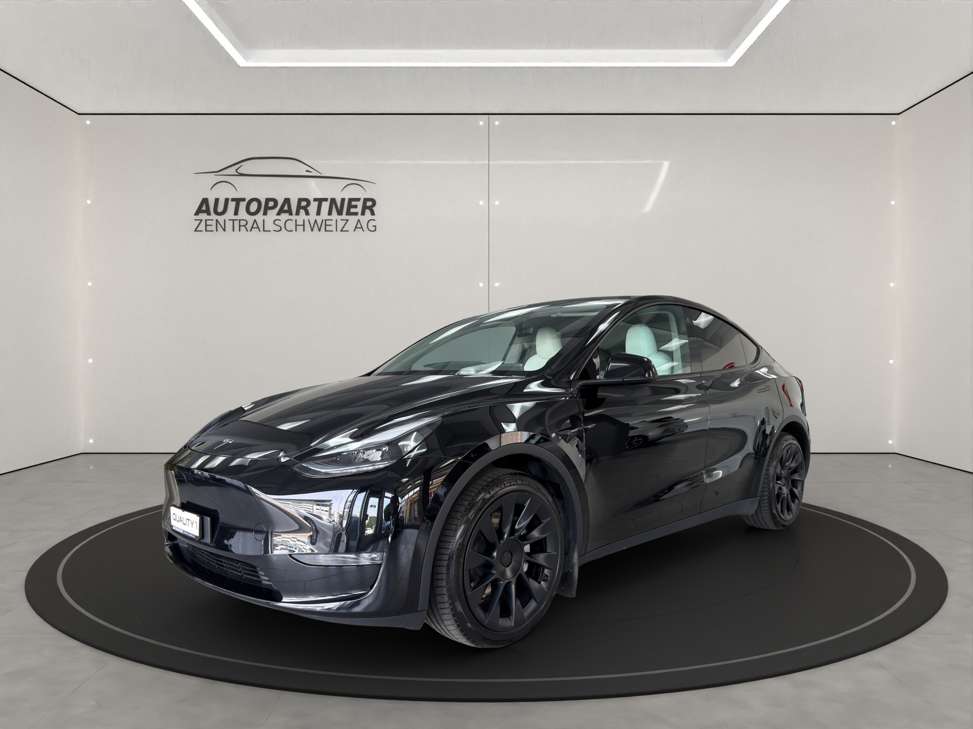TESLA Model Y Long Range-image-1