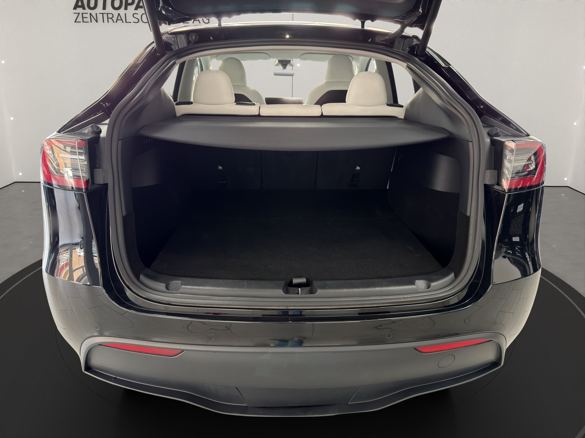 TESLA Model Y Long Range-image-10