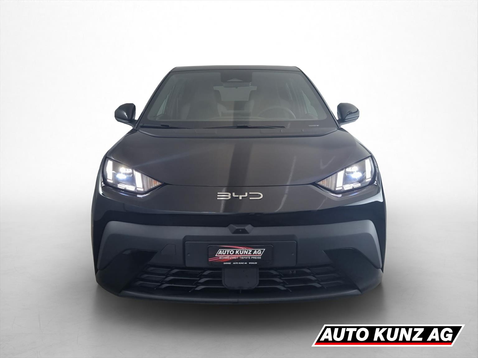 BYD Dolphin Surf 43kWh Comfort-image-1