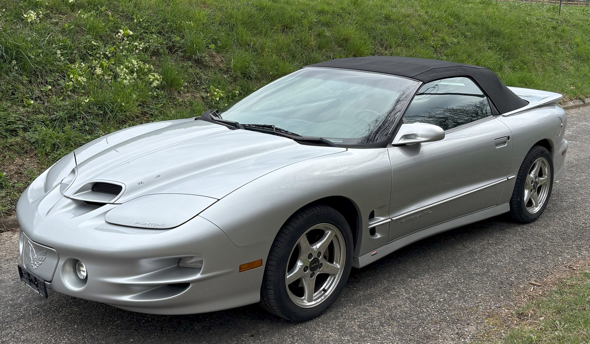 PONTIAC FIREBIRD  TRANS  AM  W5.6-image-2