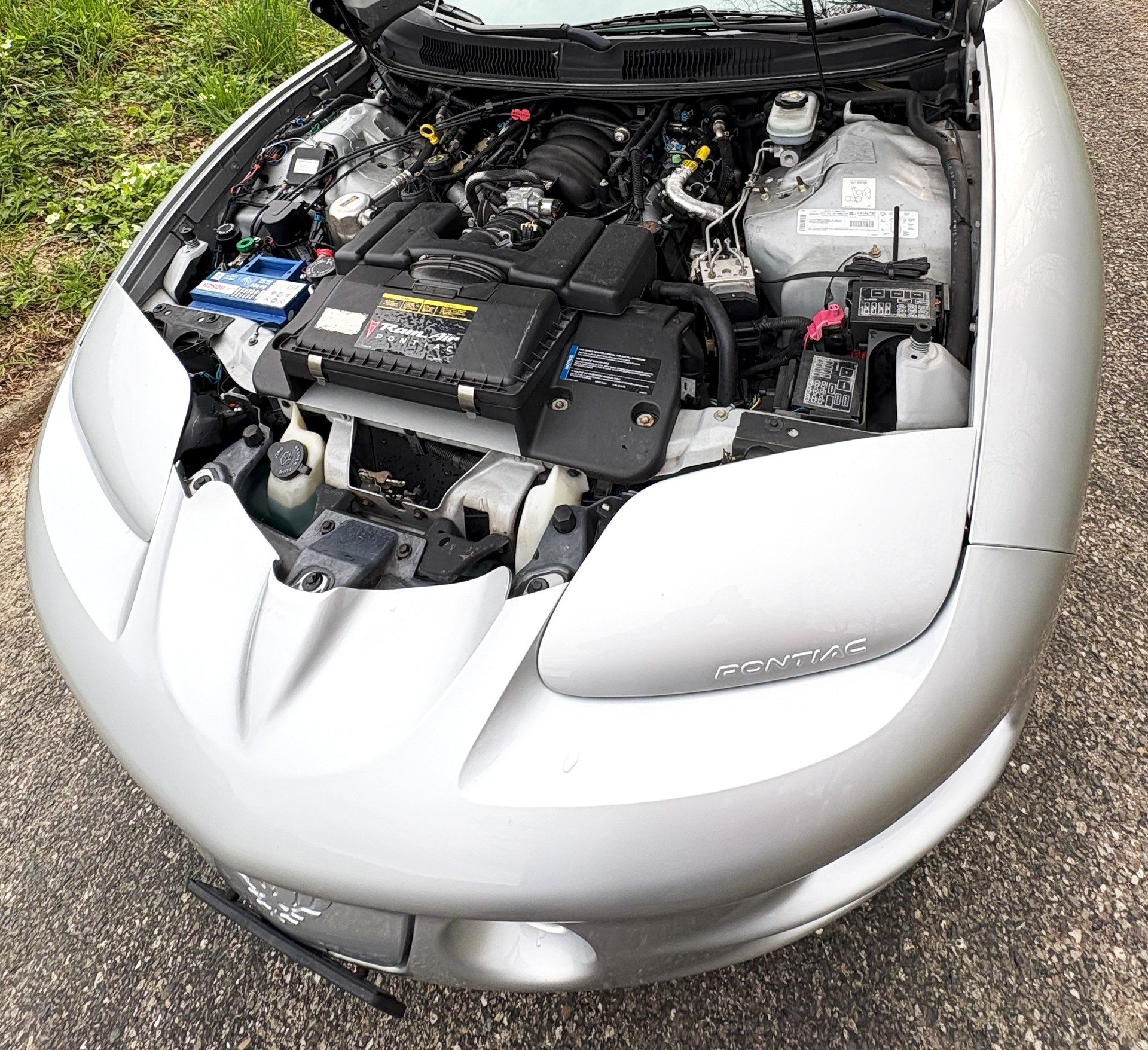 PONTIAC FIREBIRD  TRANS  AM  W5.6-image-14