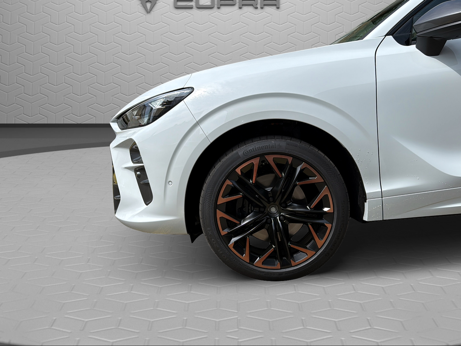 CUPRA Terramar 2.0 TSI DSG 4Drive VZ-image-5