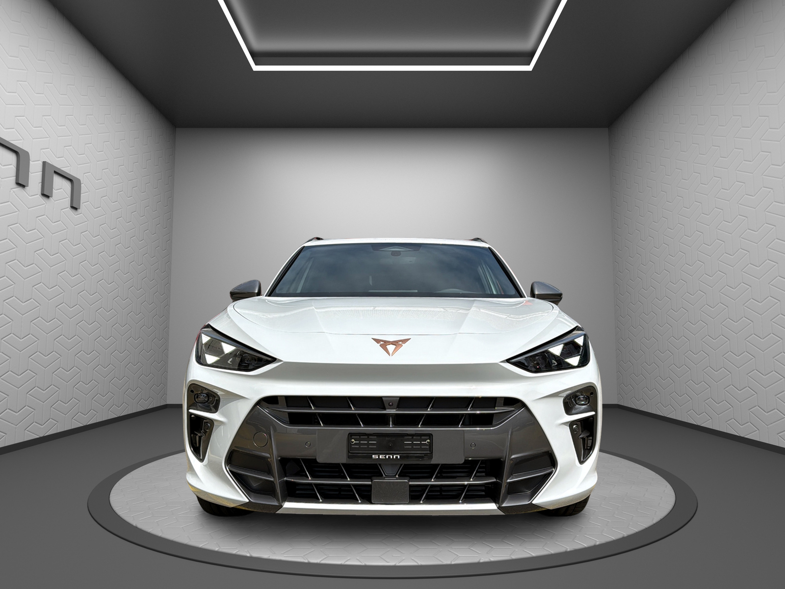 CUPRA Terramar 2.0 TSI DSG 4Drive VZ-image-3