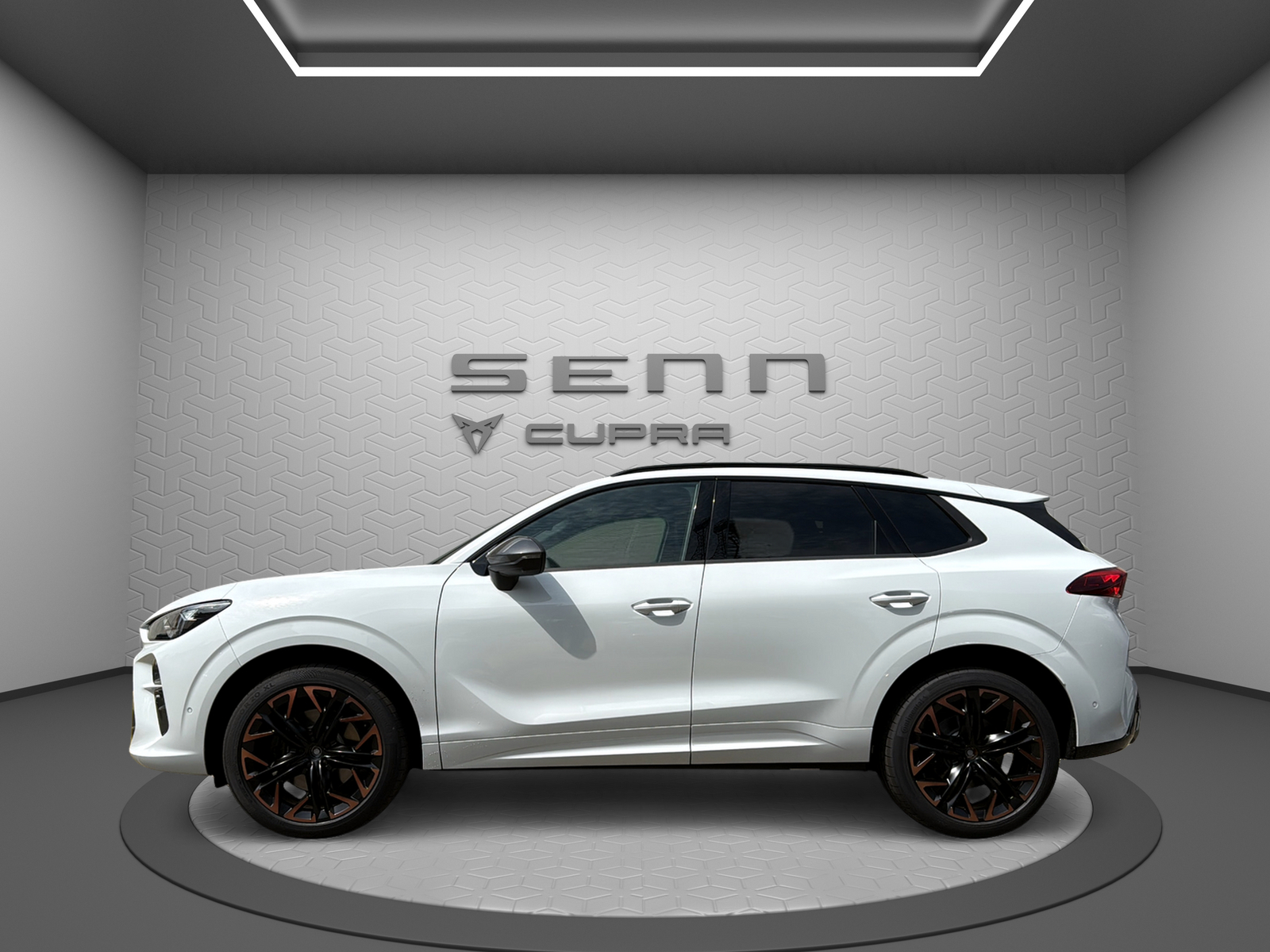 CUPRA Terramar 2.0 TSI DSG 4Drive VZ-image-1