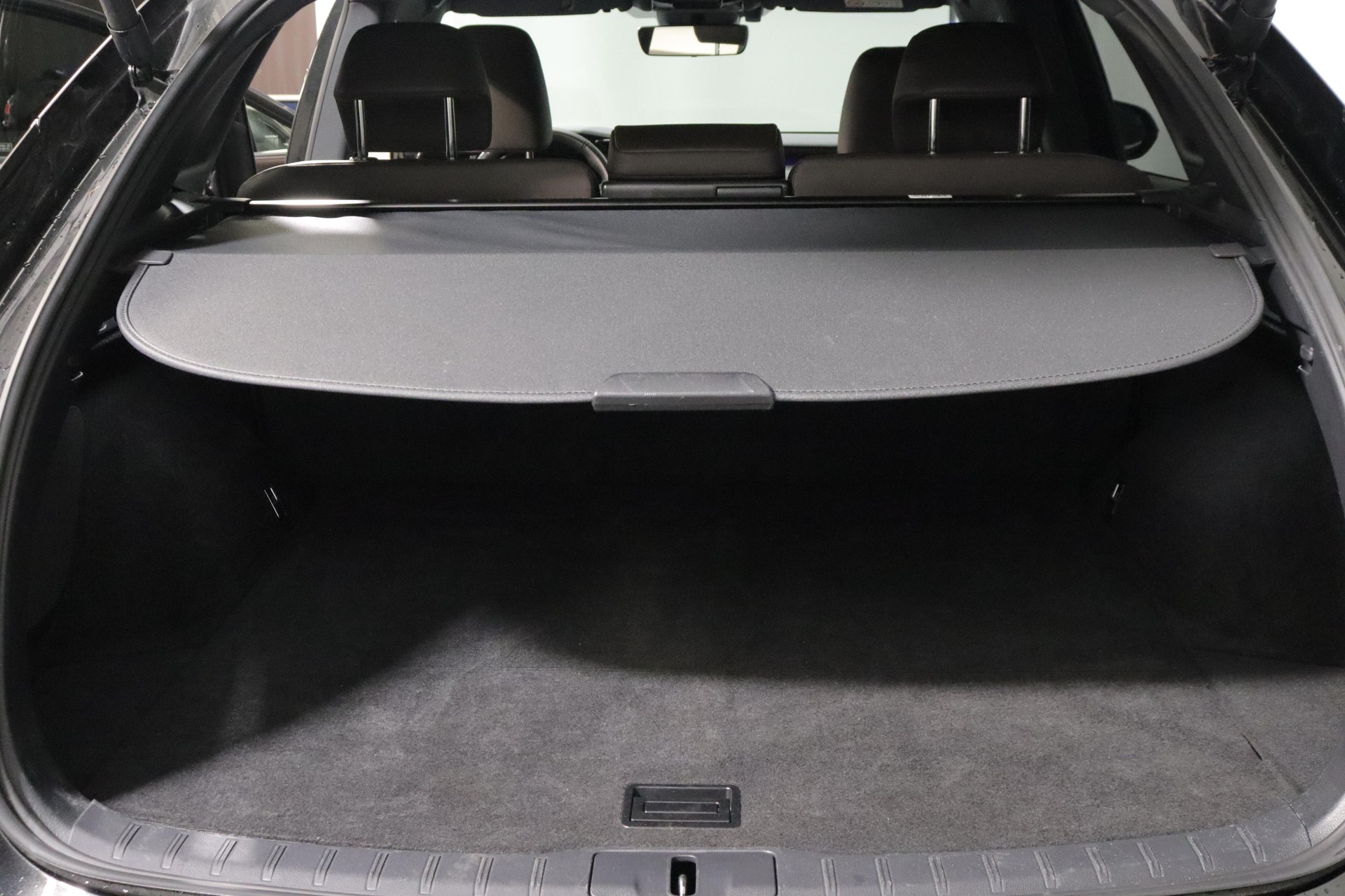 LEXUS RX 350h F-Line-image-12