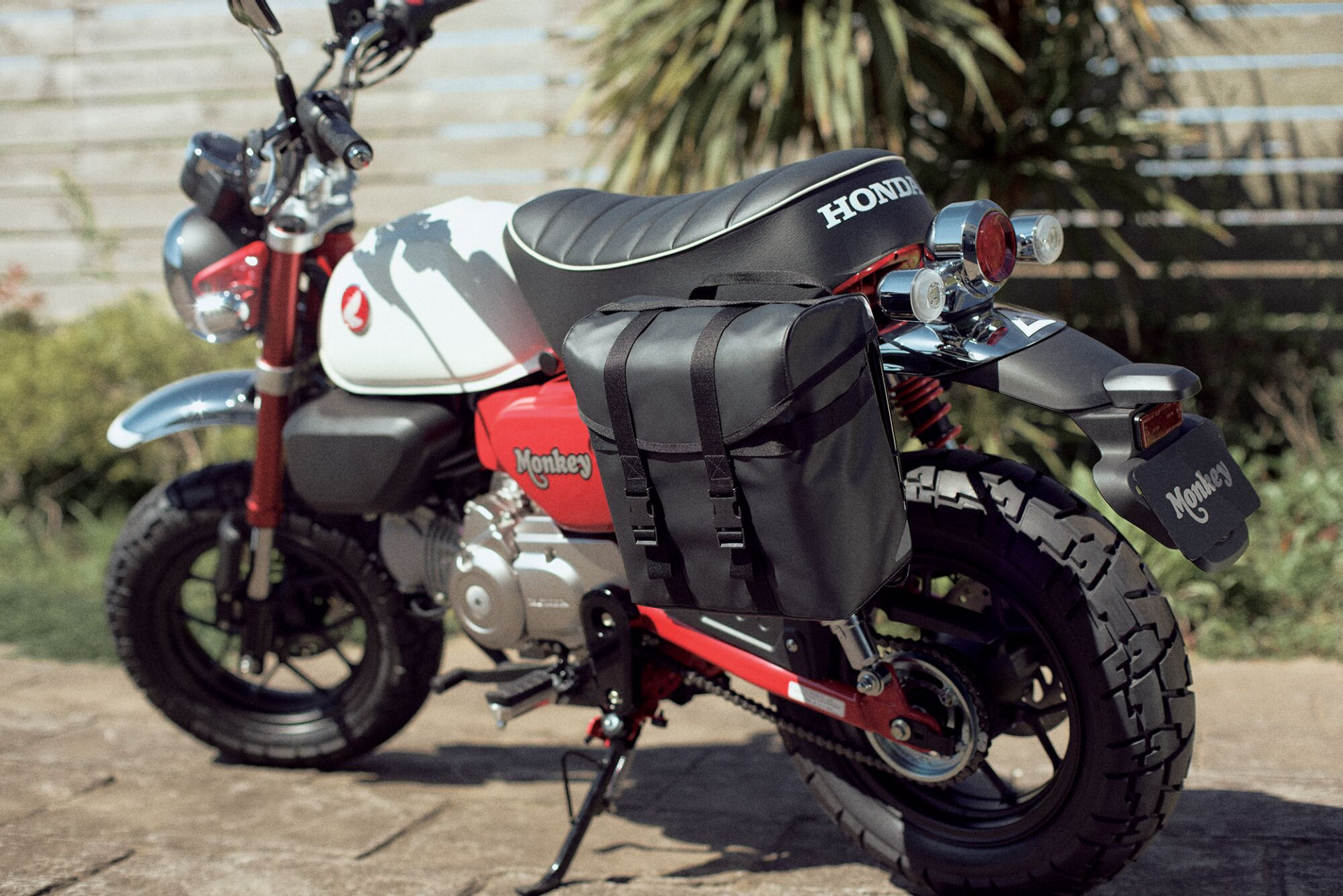 HONDA Z 125 MA Monkey-showroom-element-2