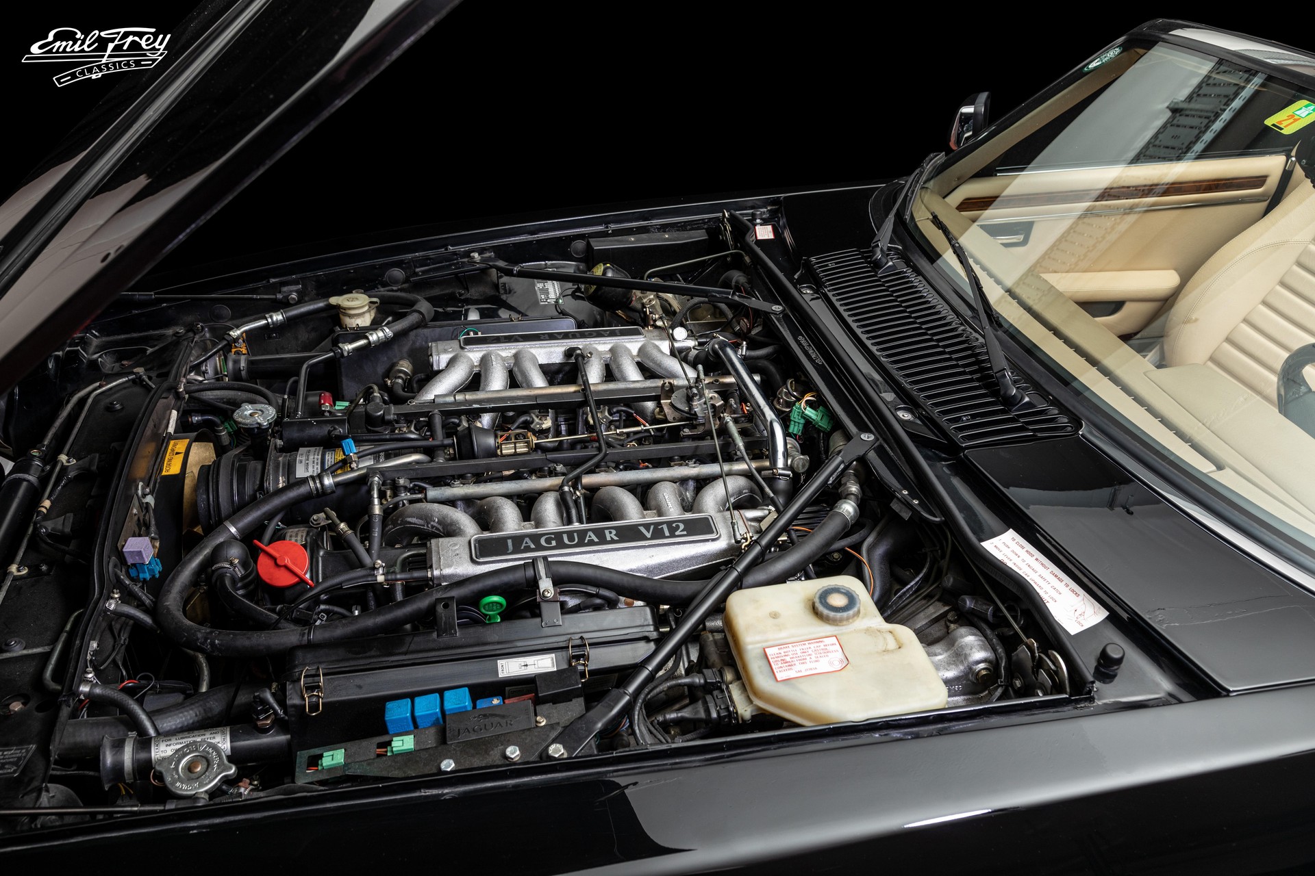 JAGUAR XJS V12 Convertible-image-4
