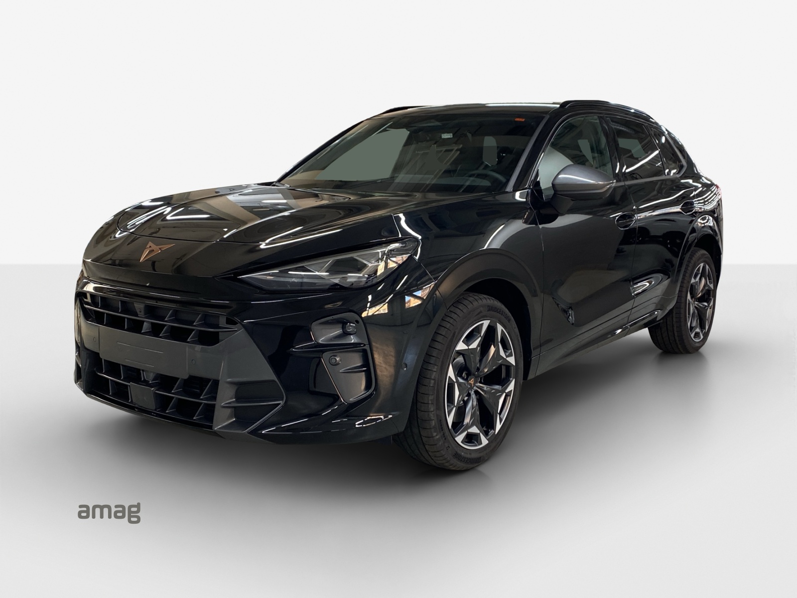 CUPRA Terramar 2.0 TSI DSG 4Drive VZ-image-0