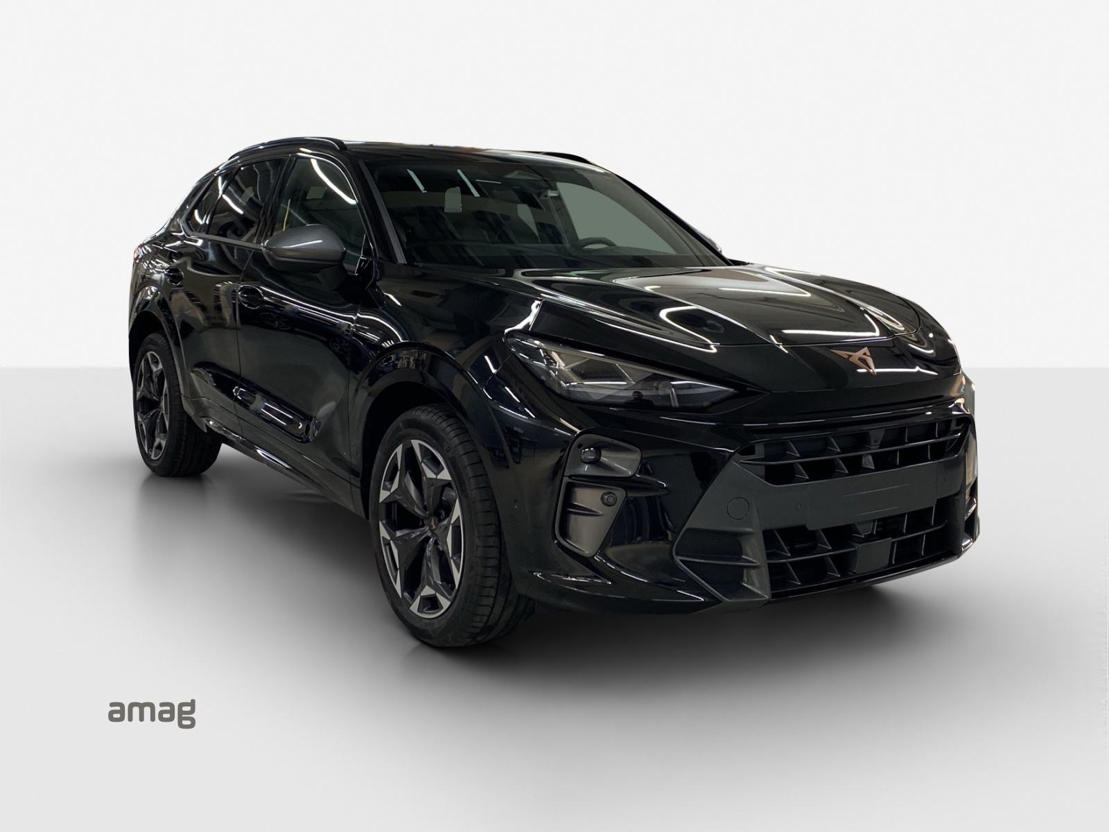 CUPRA Terramar 2.0 TSI DSG 4Drive VZ-image-5