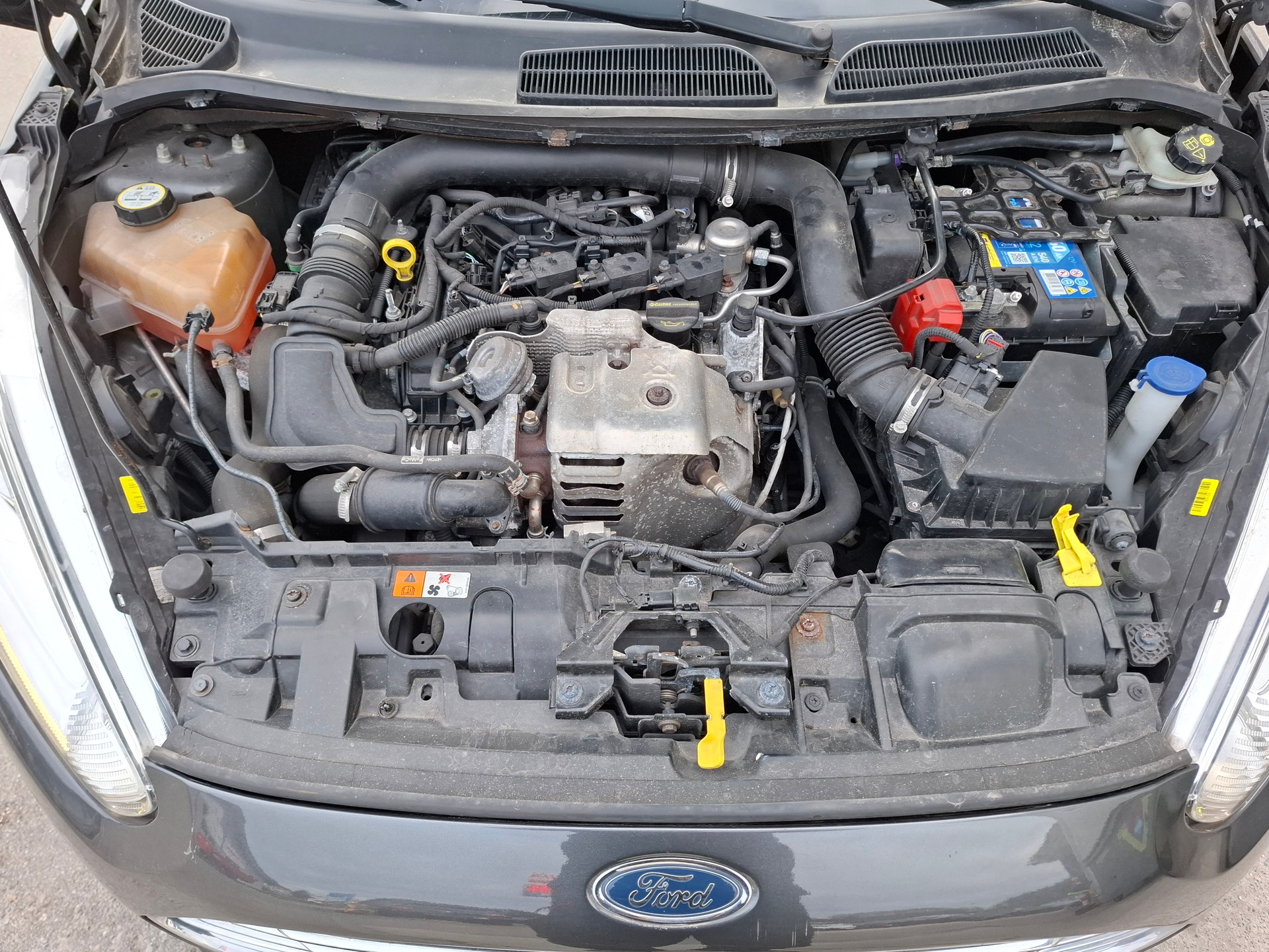 FORD Fiesta 1.0 SCTi Freetech-image-9