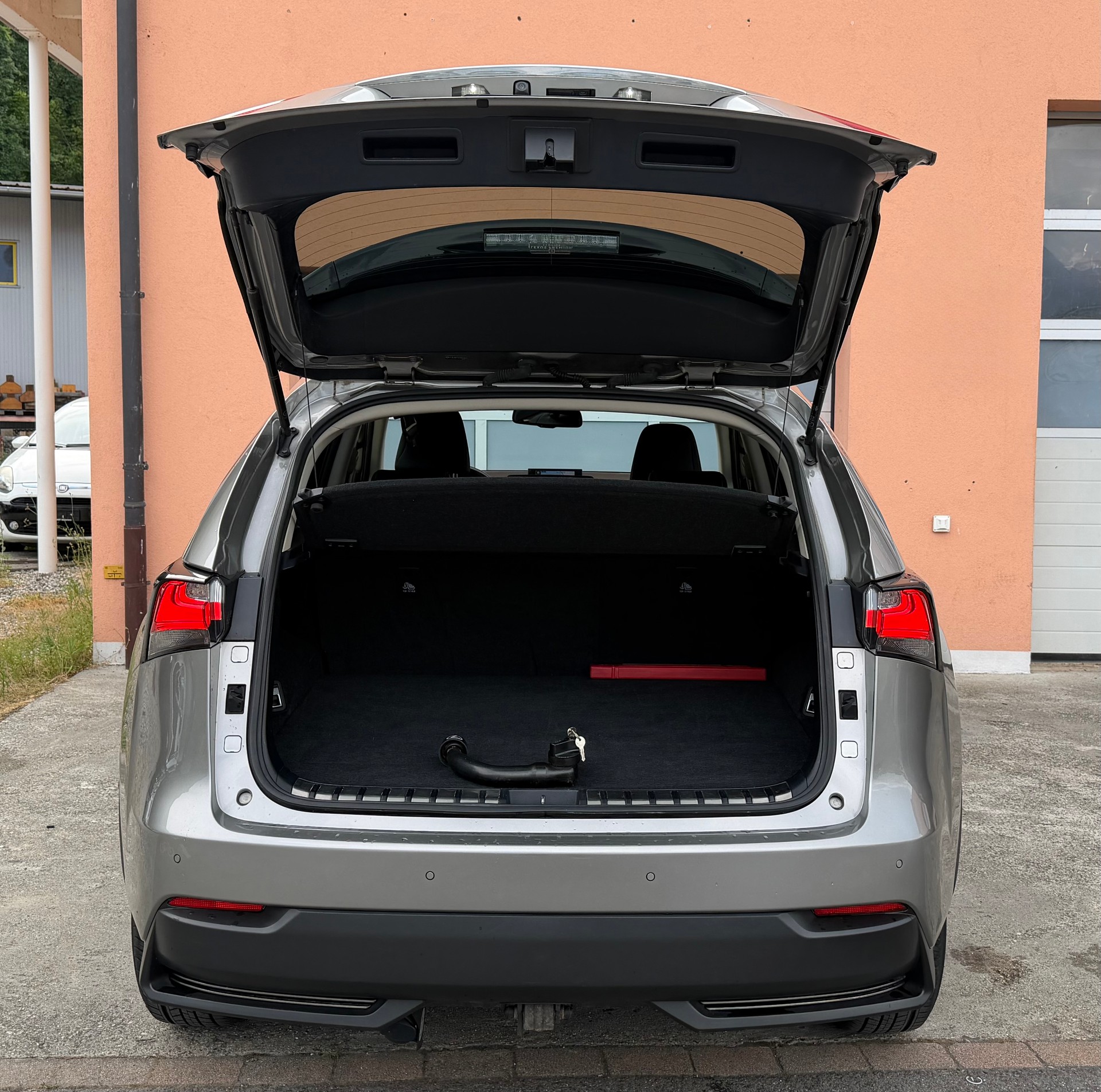 LEXUS NX 300h impression E-Four Automatic-image-8