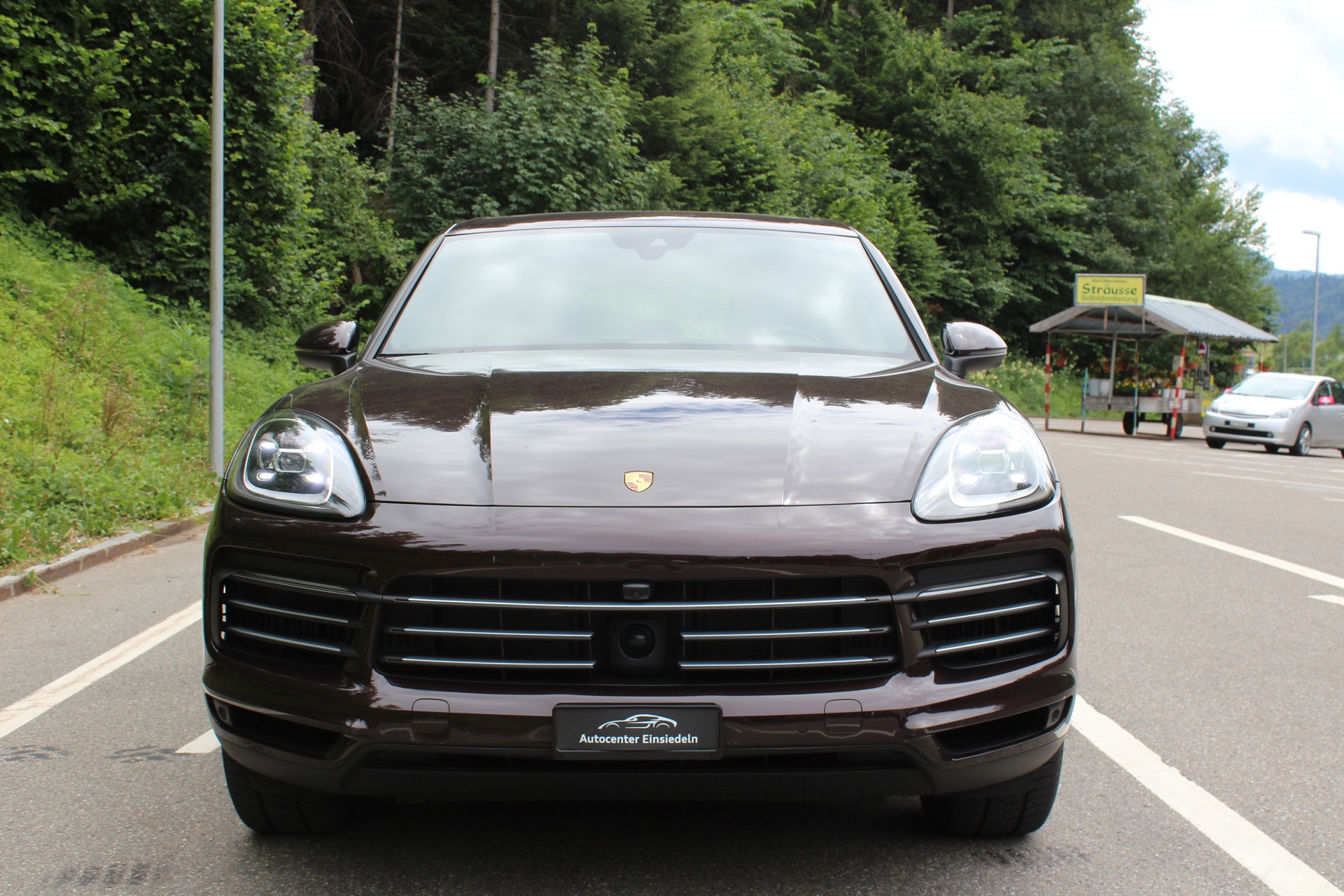 PORSCHE Cayenne E-Hybrid-image-3