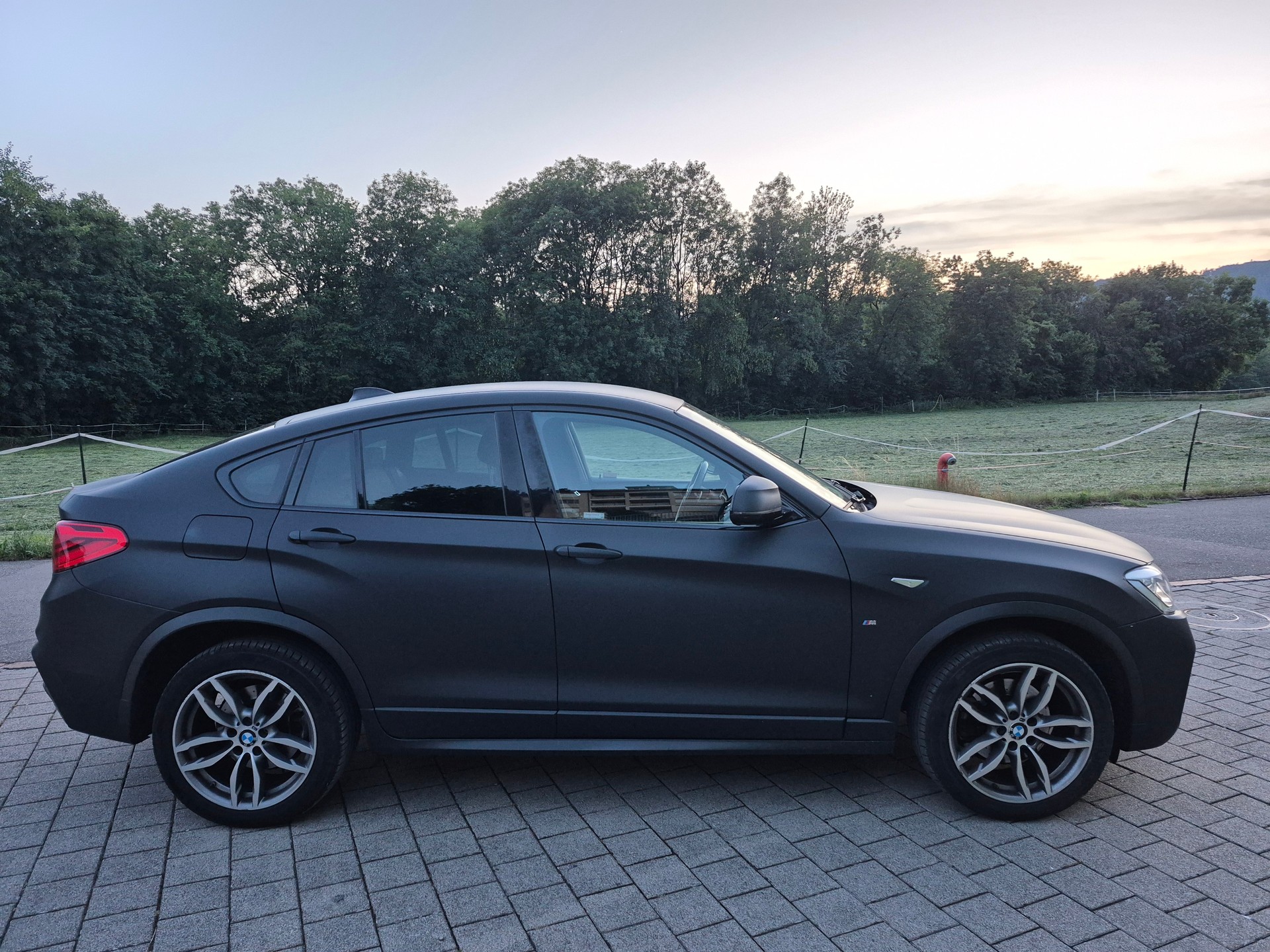 BMW X4 xDrive 20d M Sport Steptronic-image-2