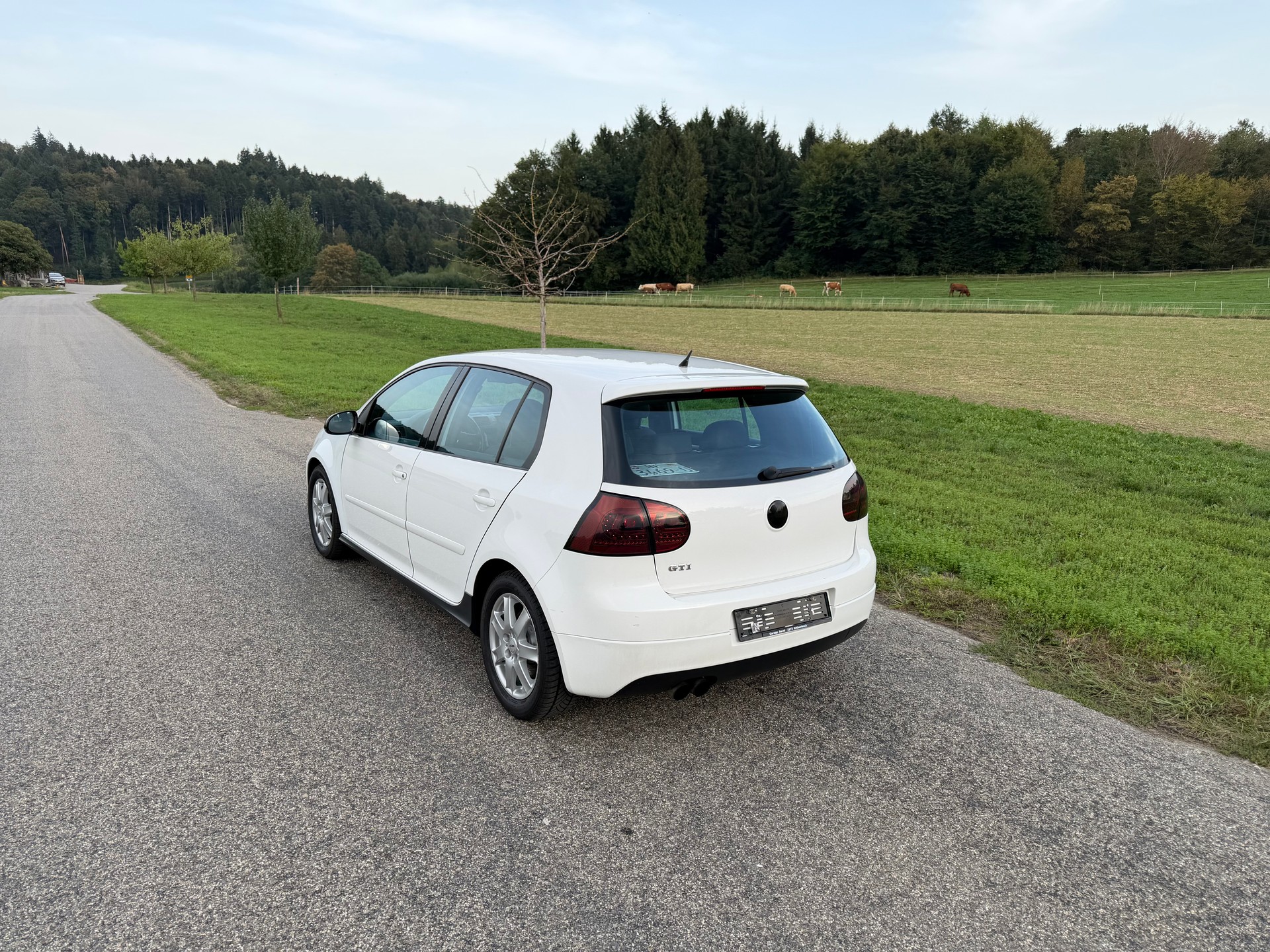 VW Golf 2.0 TFSI GTI-image-1