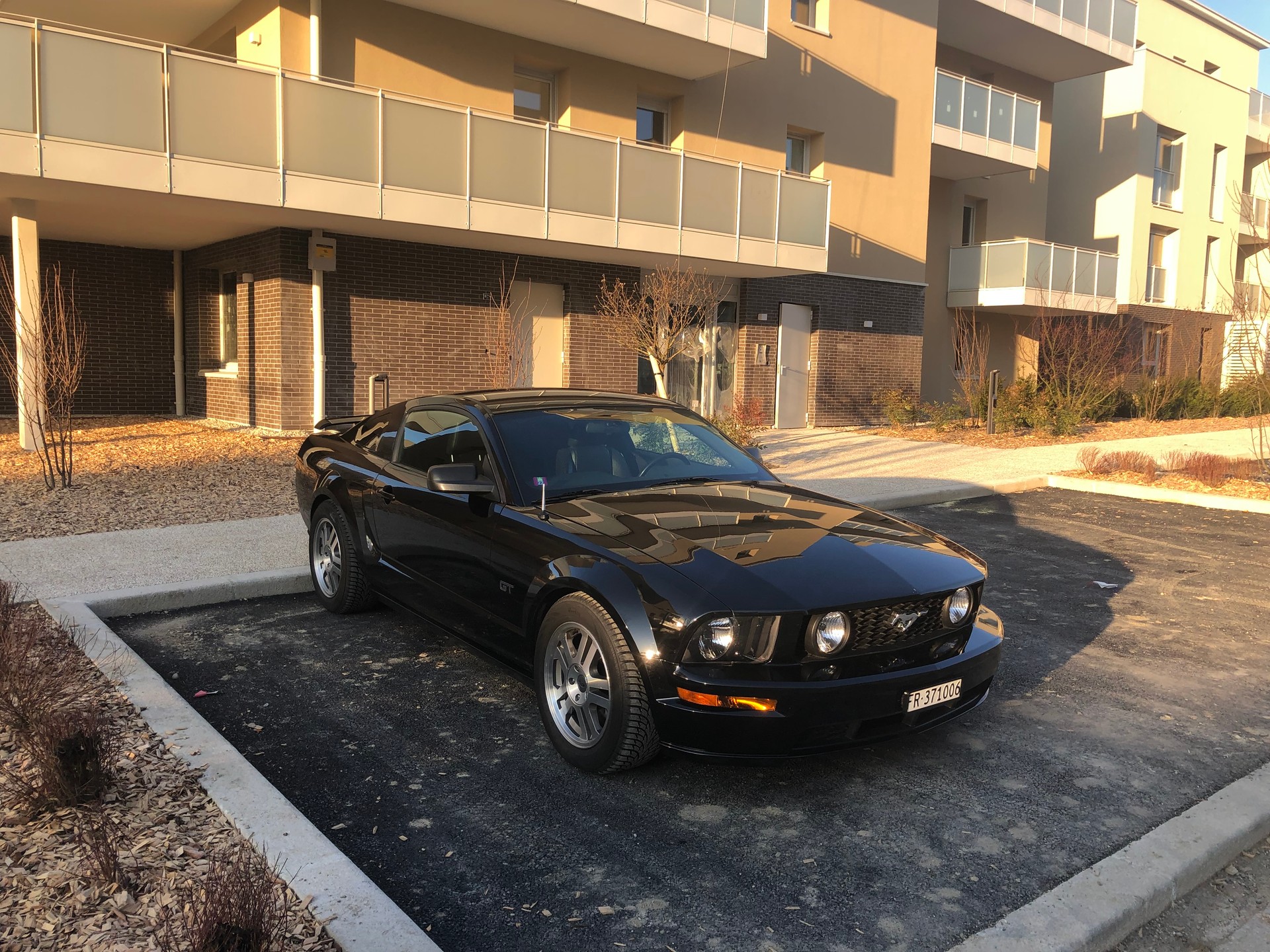 FORD 4.6 V8 Premium-image-0