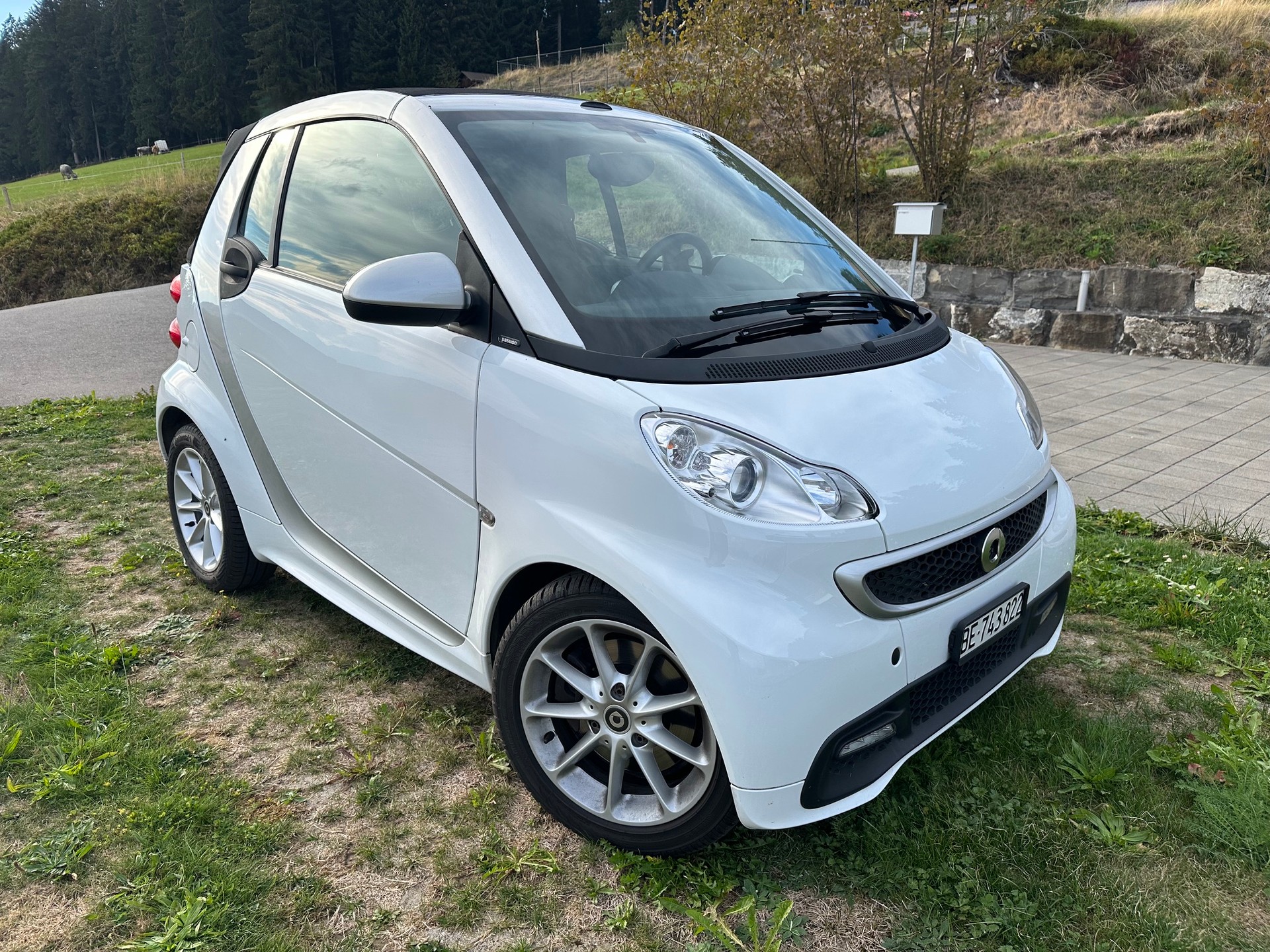 SMART 1000 71 Passion mhd-image-1