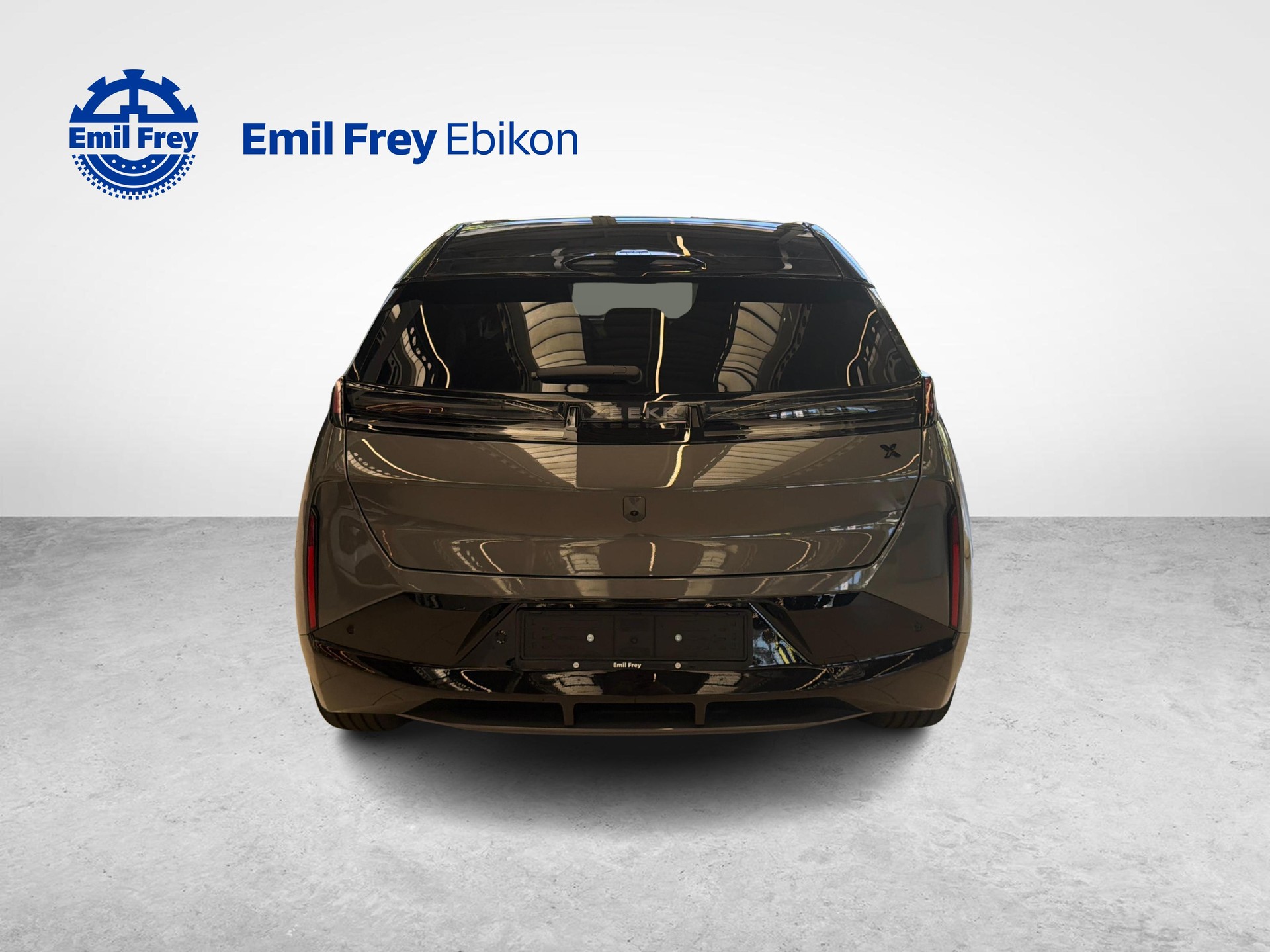 ZEEKR X Privilege AWD-image-4