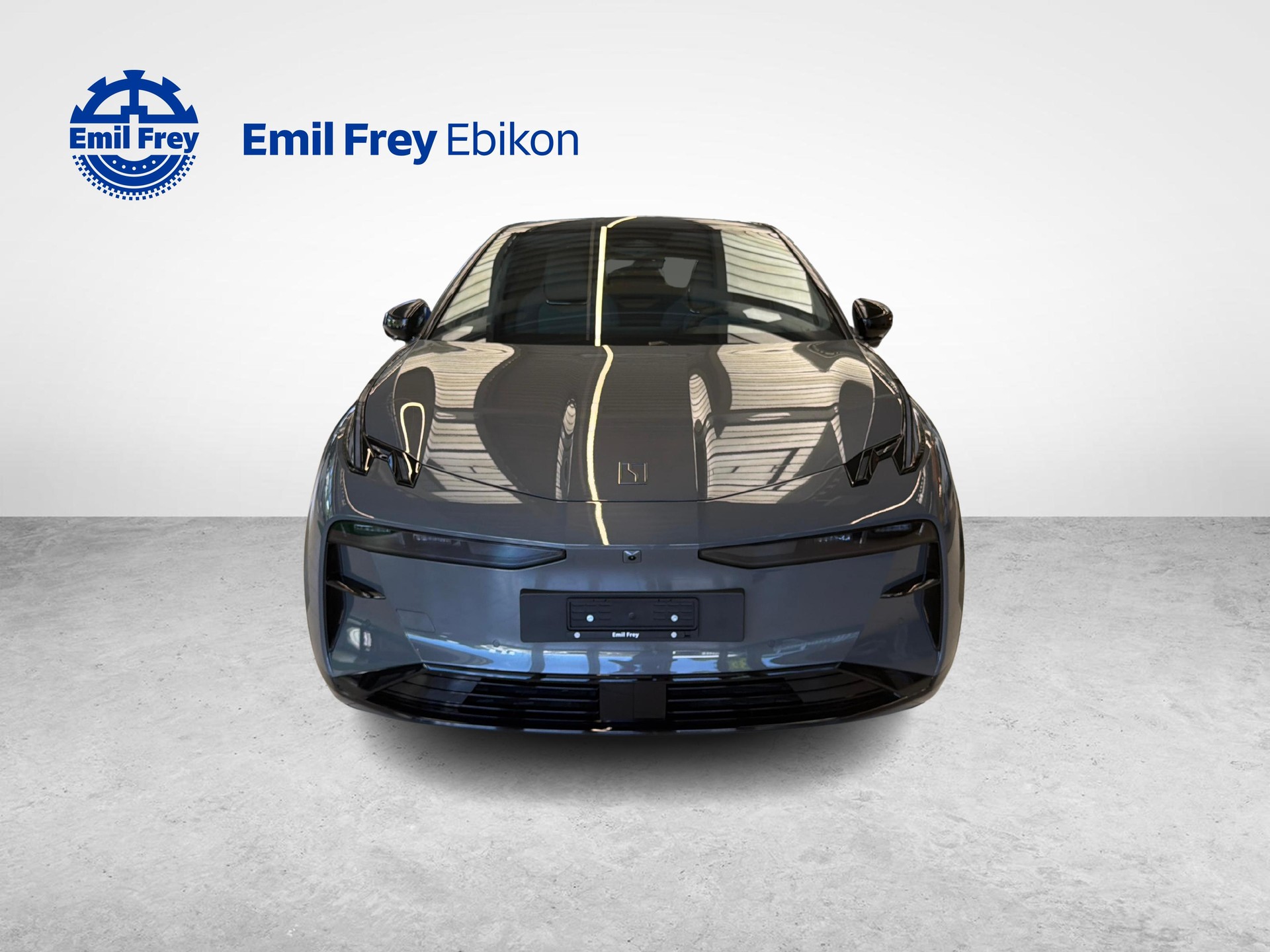 ZEEKR X Privilege AWD-image-1