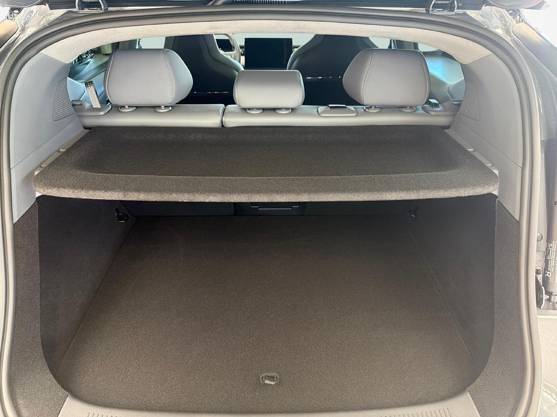 ZEEKR X Privilege AWD-image-11