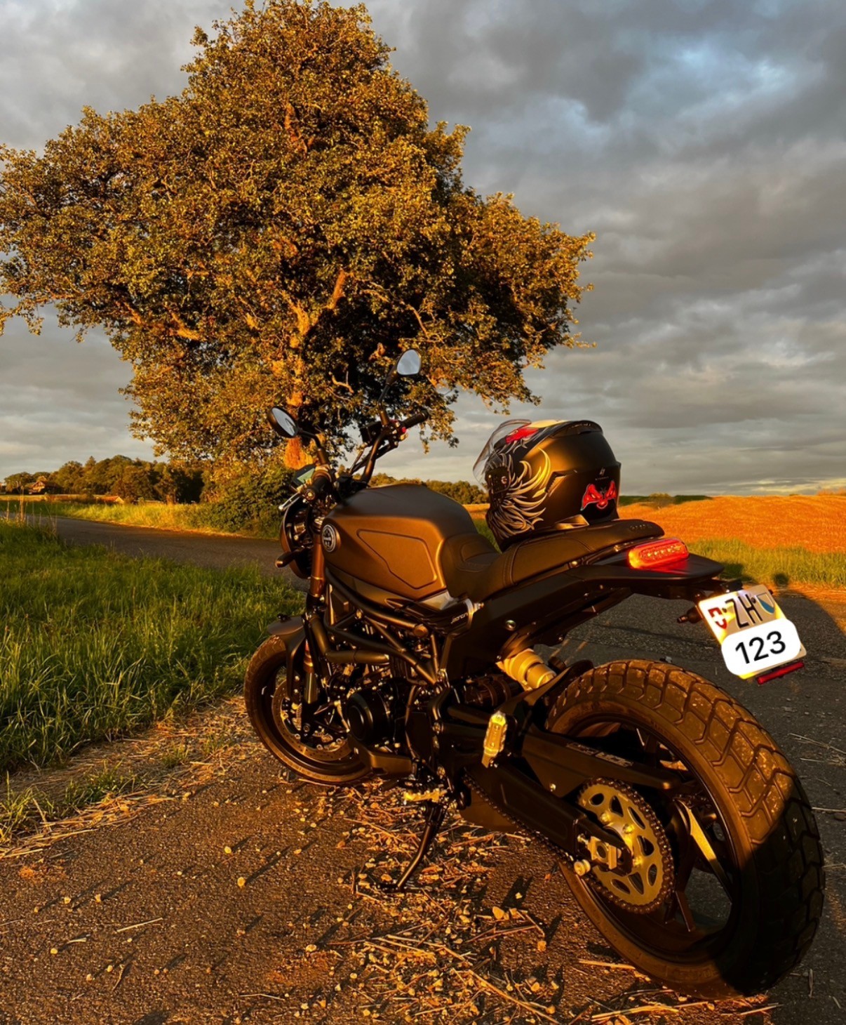 BENELLI Leoncino 800 (35kW)-image-13