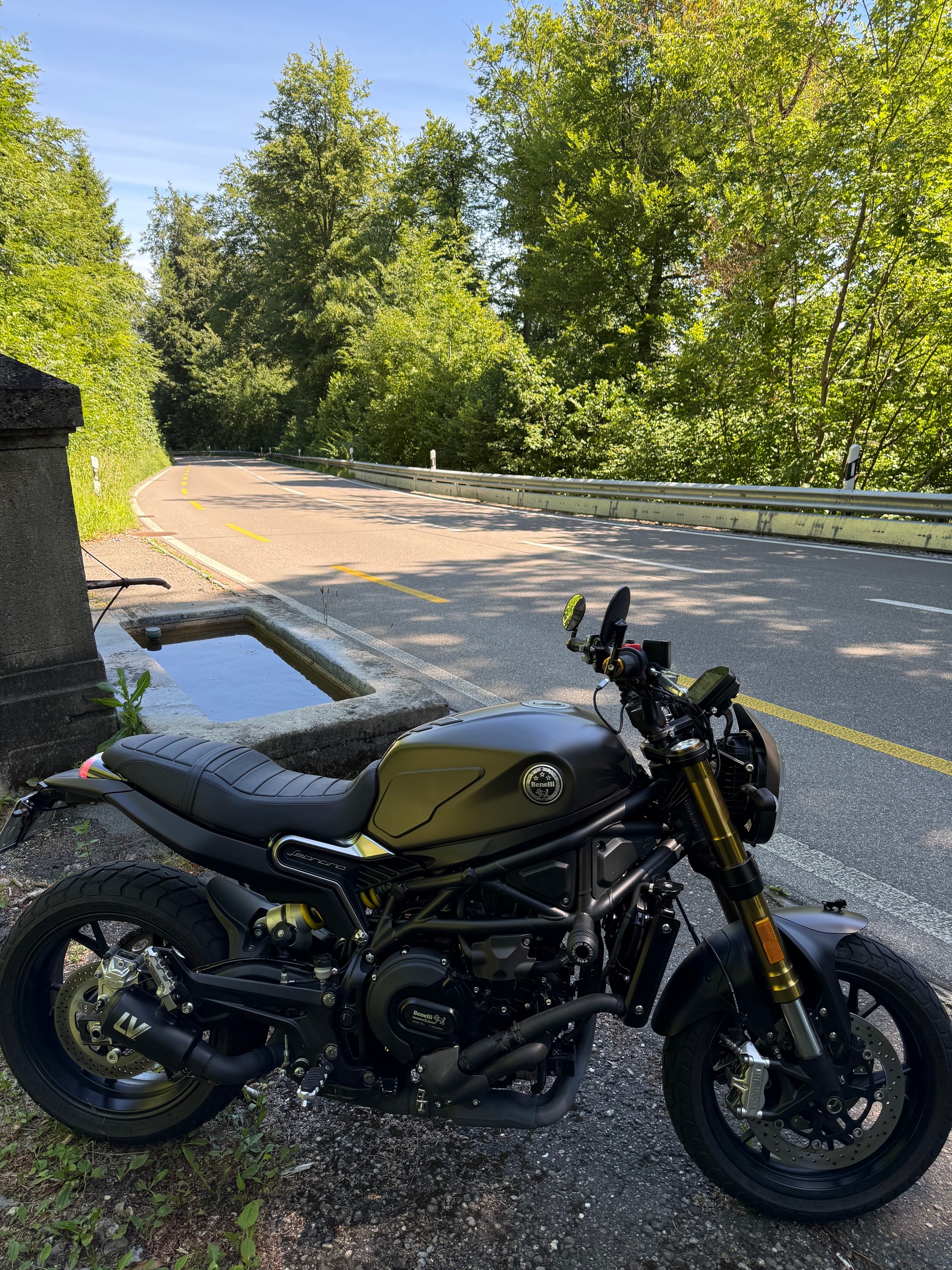 BENELLI Leoncino 800 (35kW)-image-9