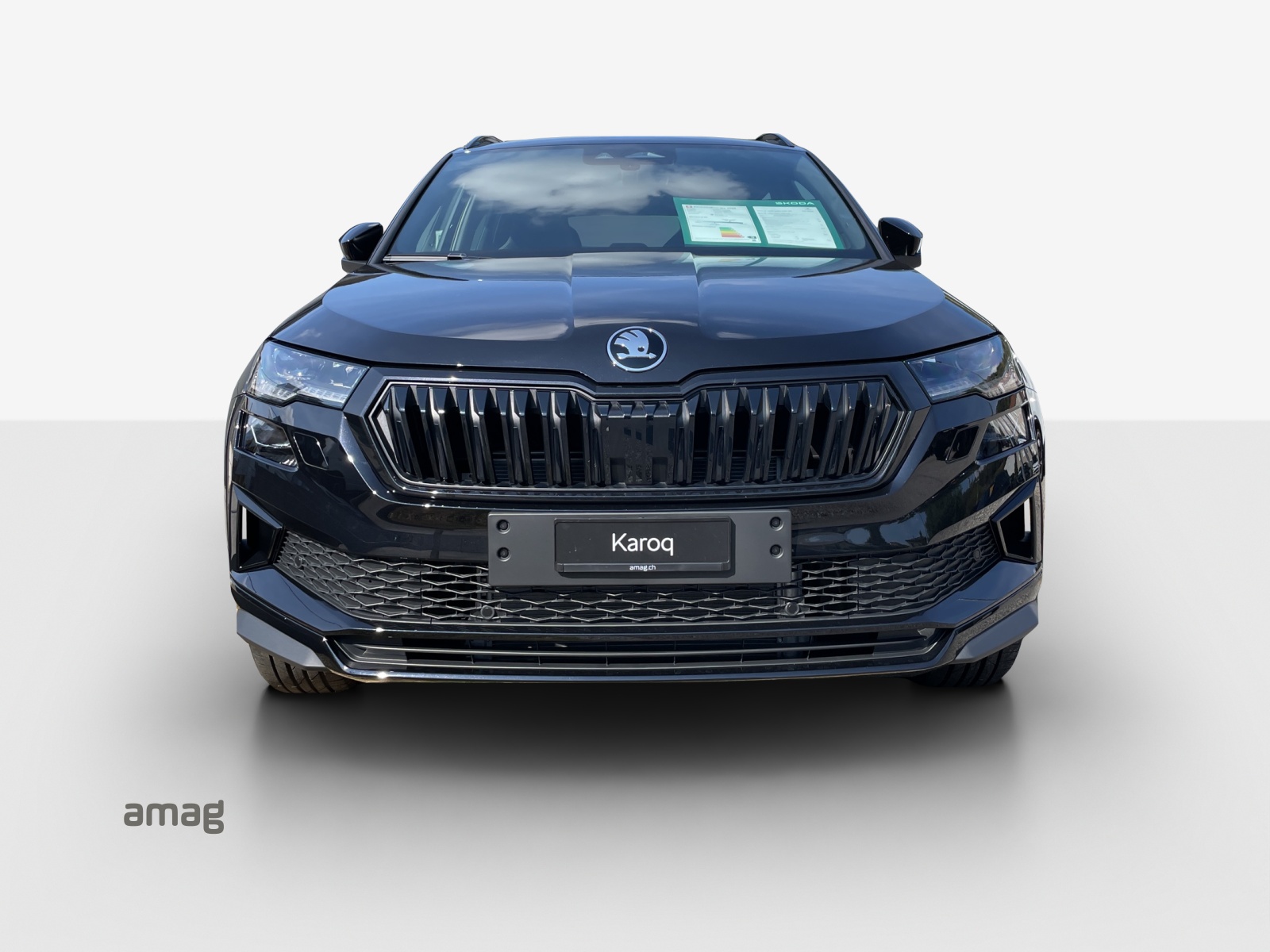 SKODA Karoq 2.0 TSI SportLine 4x4 DSG-image-6