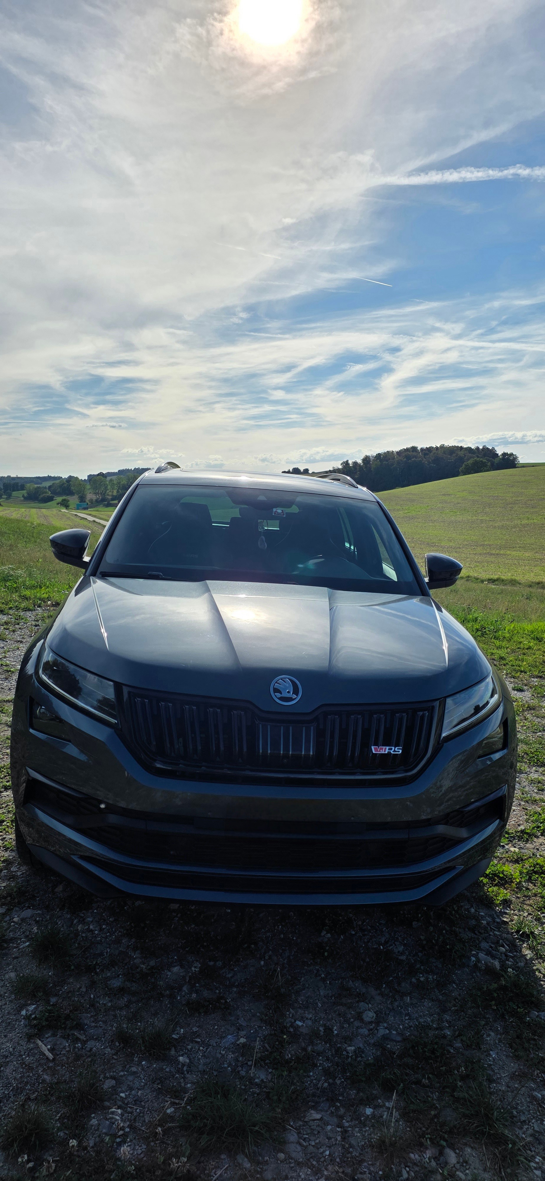 SKODA 2.0 Bi-TDI 240 RS DSG-image-1