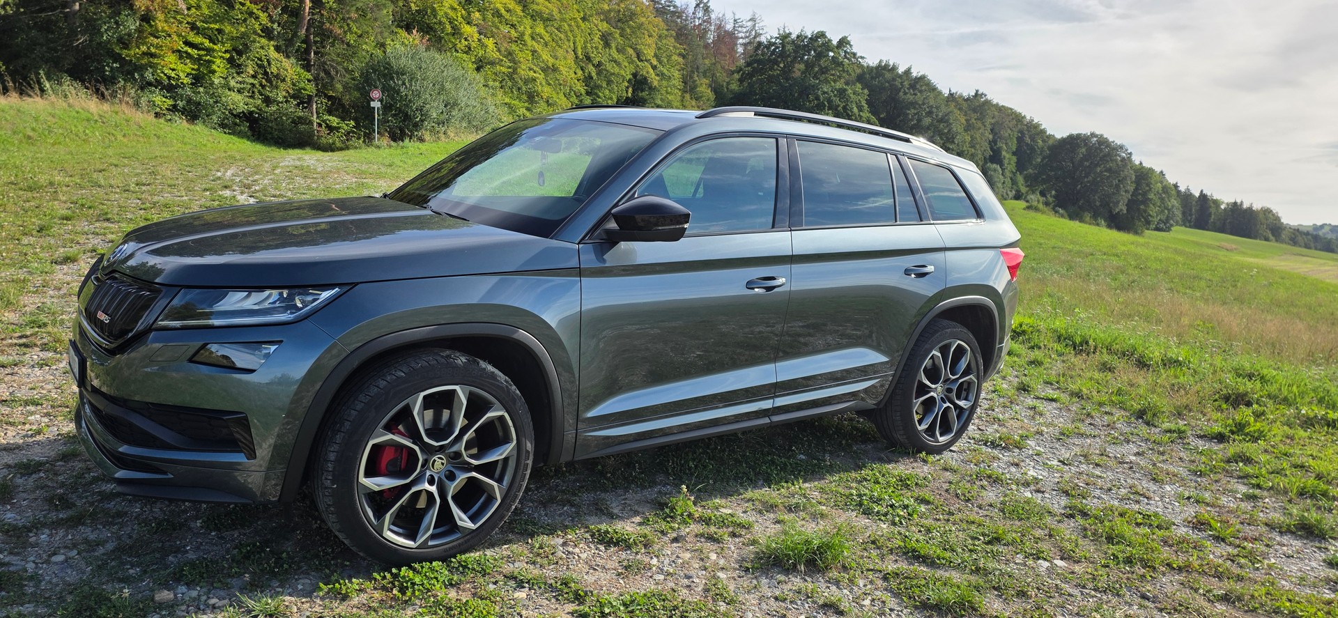 SKODA 2.0 Bi-TDI 240 RS DSG-image-0