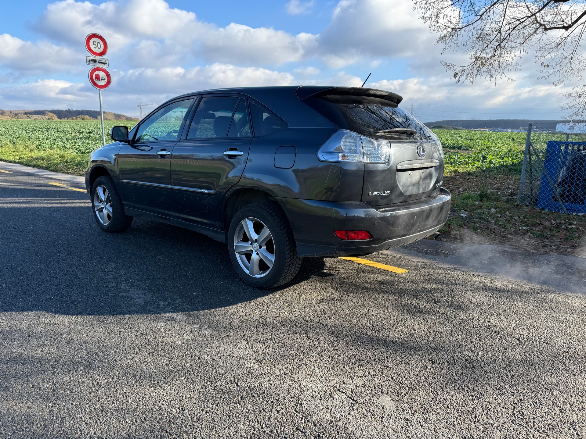 LEXUS RX 400h Edition AWD Automatic-image-3