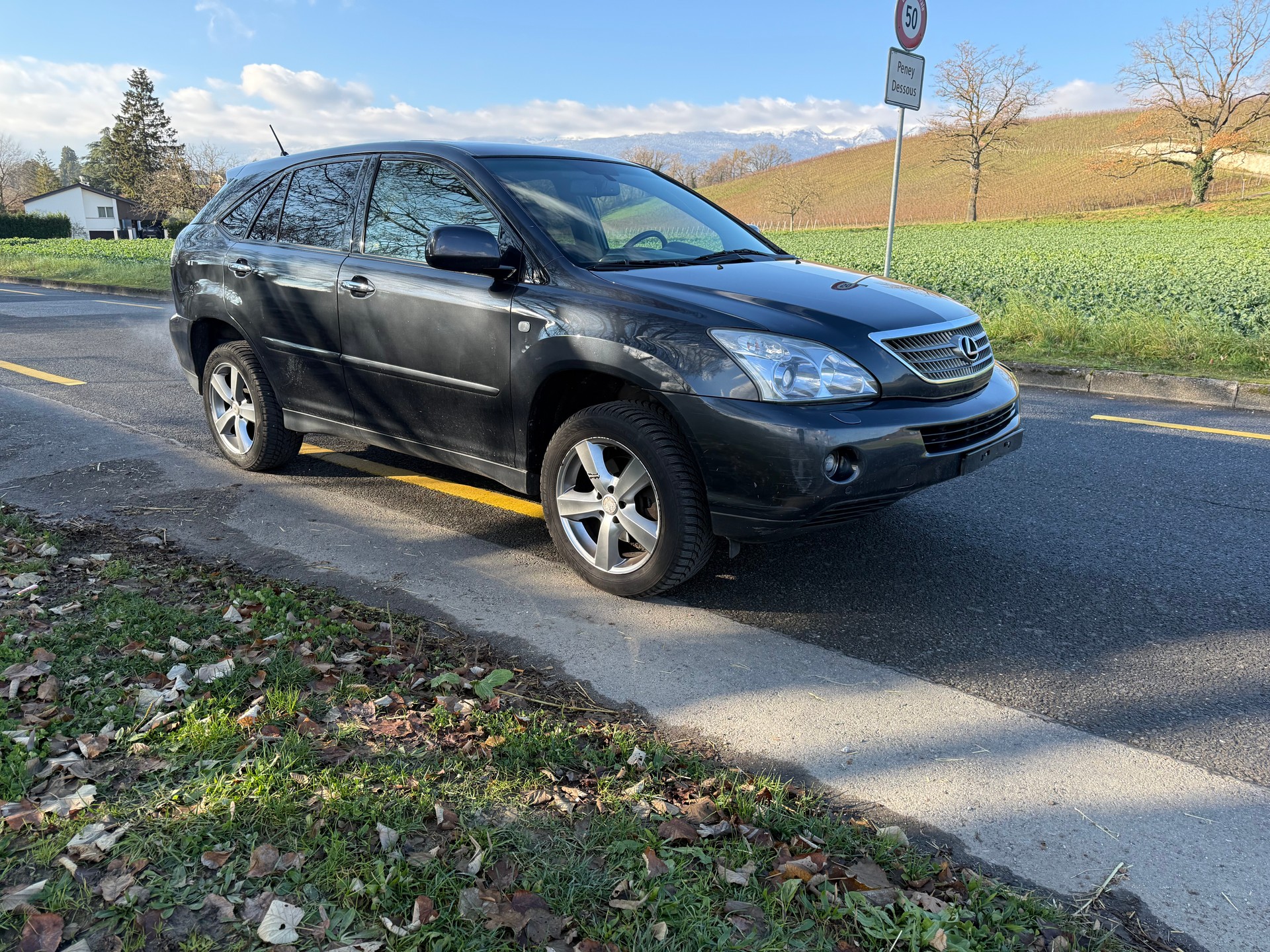 LEXUS RX 400h Edition AWD Automatic-image-1
