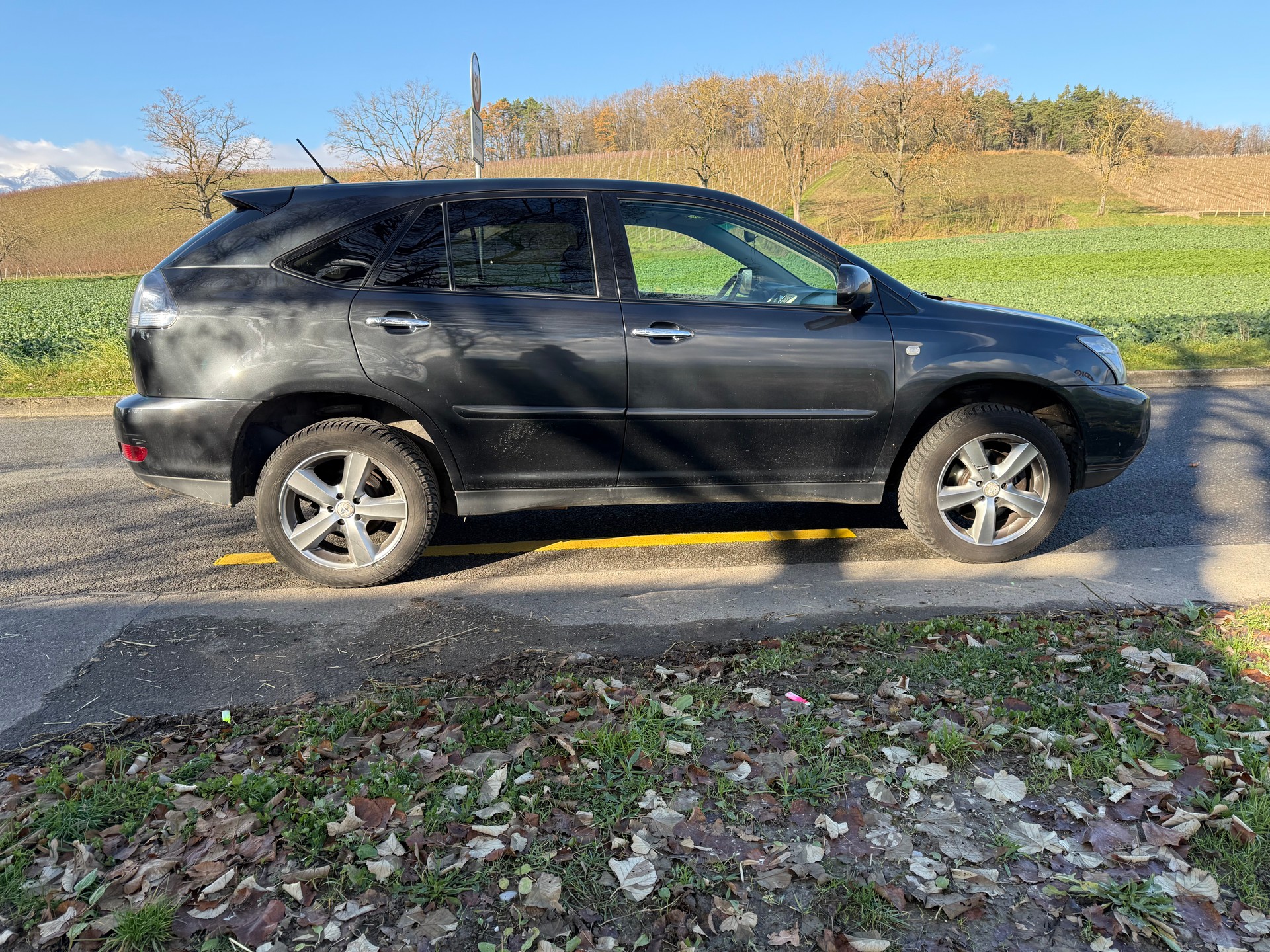 LEXUS RX 400h Edition AWD Automatic-image-6