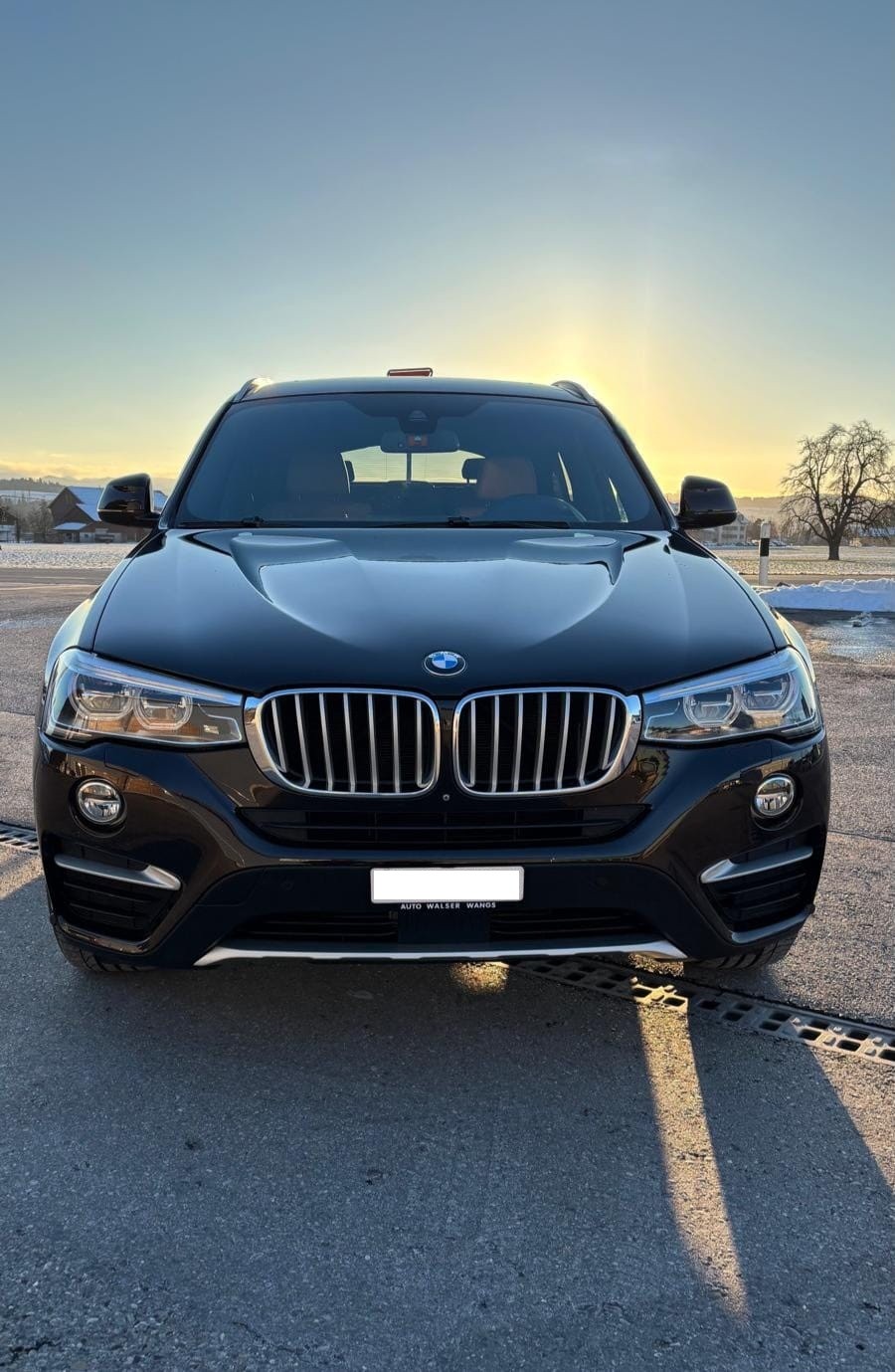 BMW X4 xDrive 30d xLine Steptronic-image-7