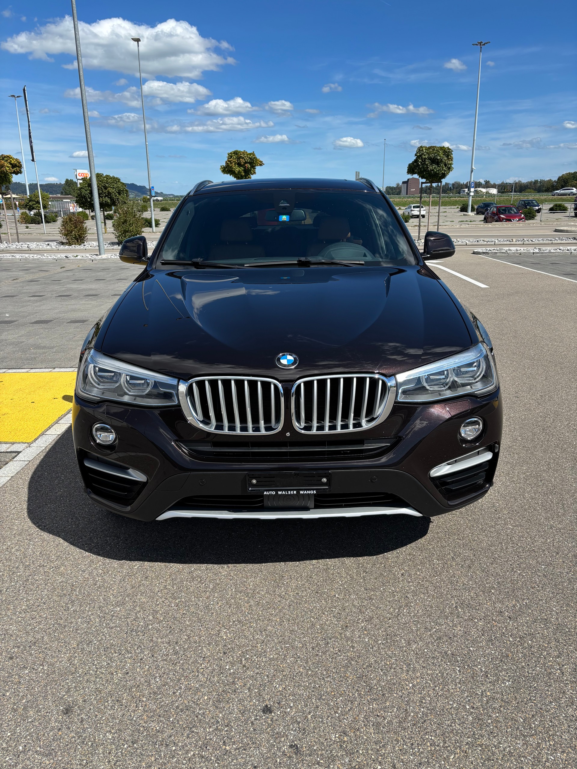 BMW X4 xDrive 30d xLine Steptronic-image-2