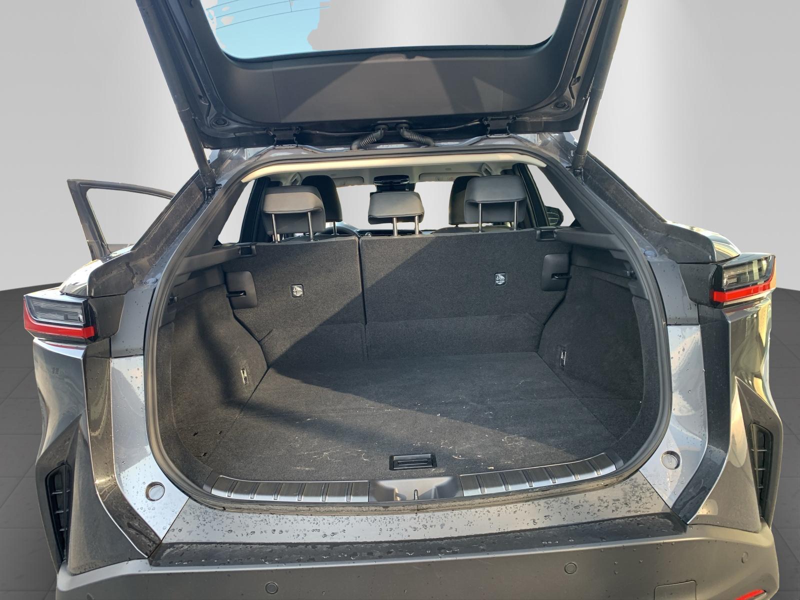 LEXUS RZ 450e Comfort-image-11