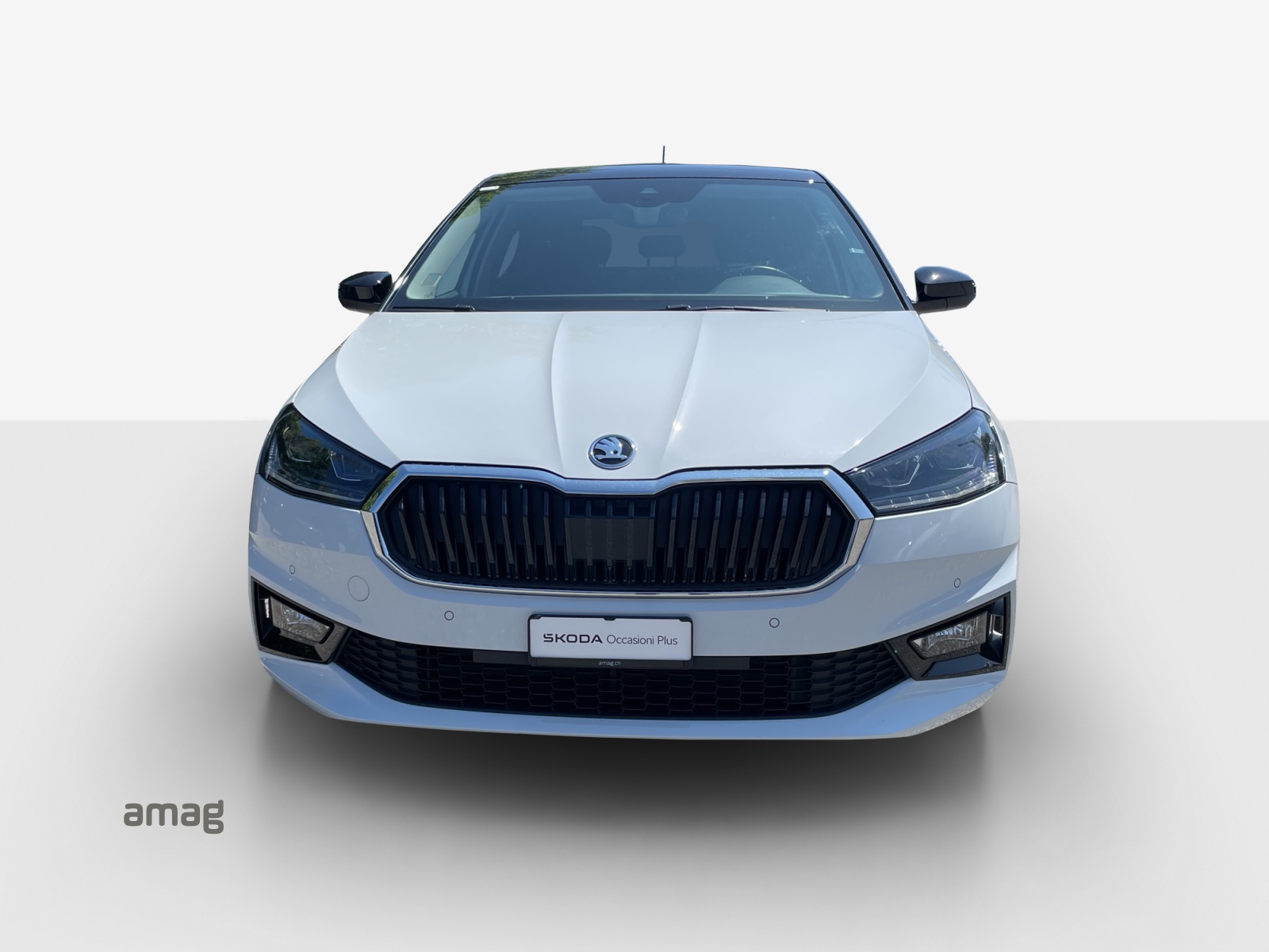 SKODA Fabia 1.0 TSI Style-image-6