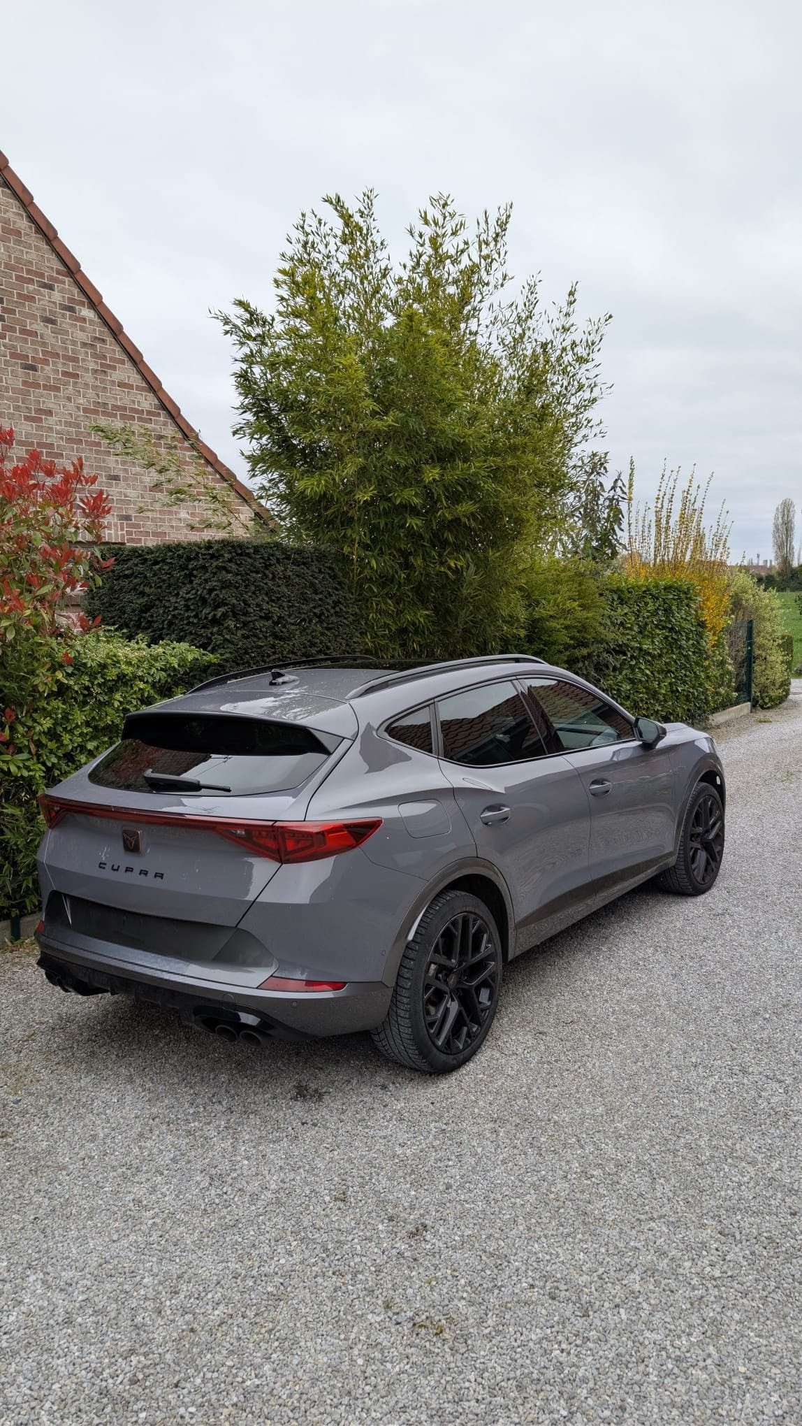 CUPRA 2.0 TSI VZ 4Drive DSG-image-2